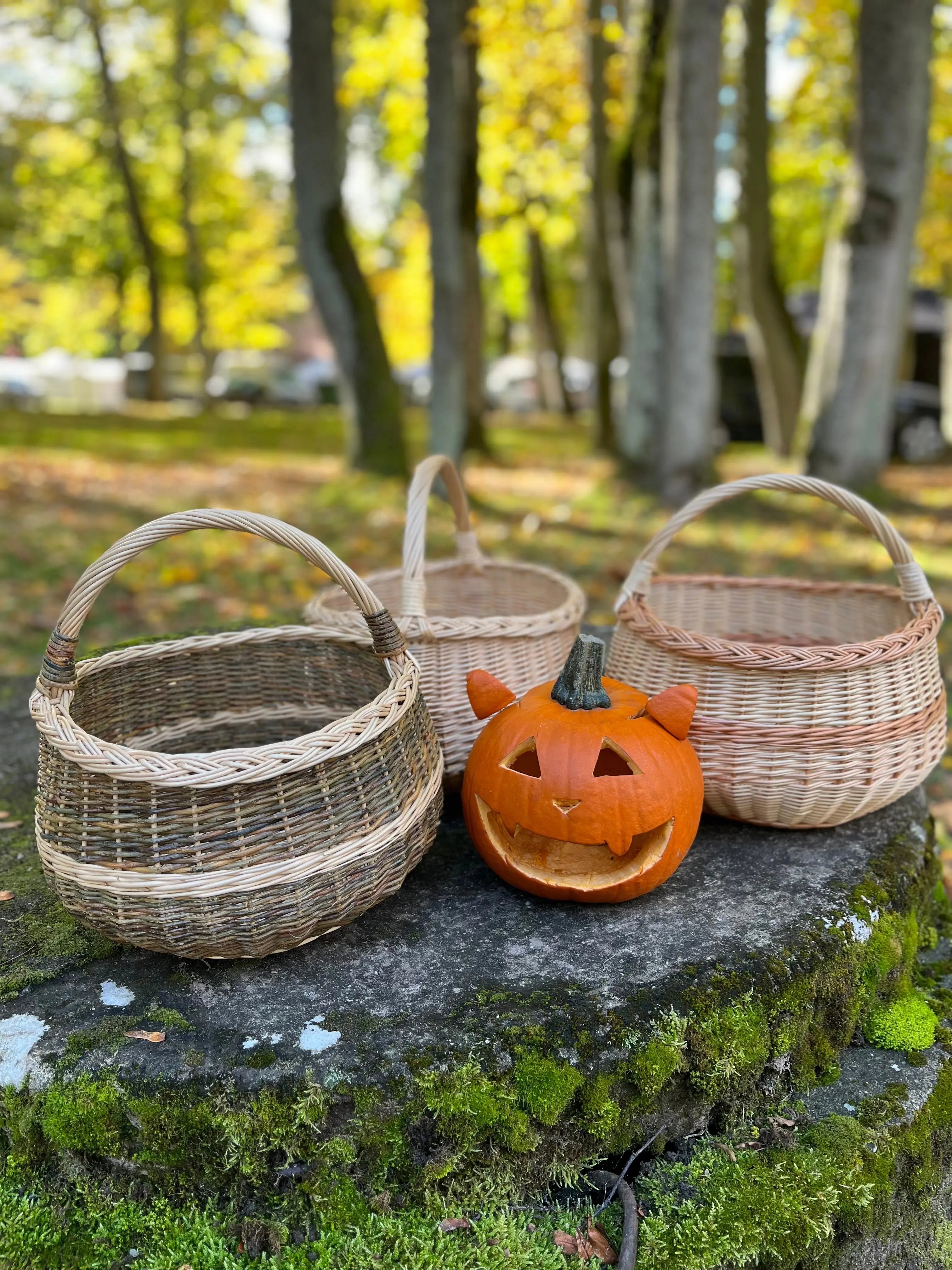 Baskets - NaturelyWoven wicker - handmade