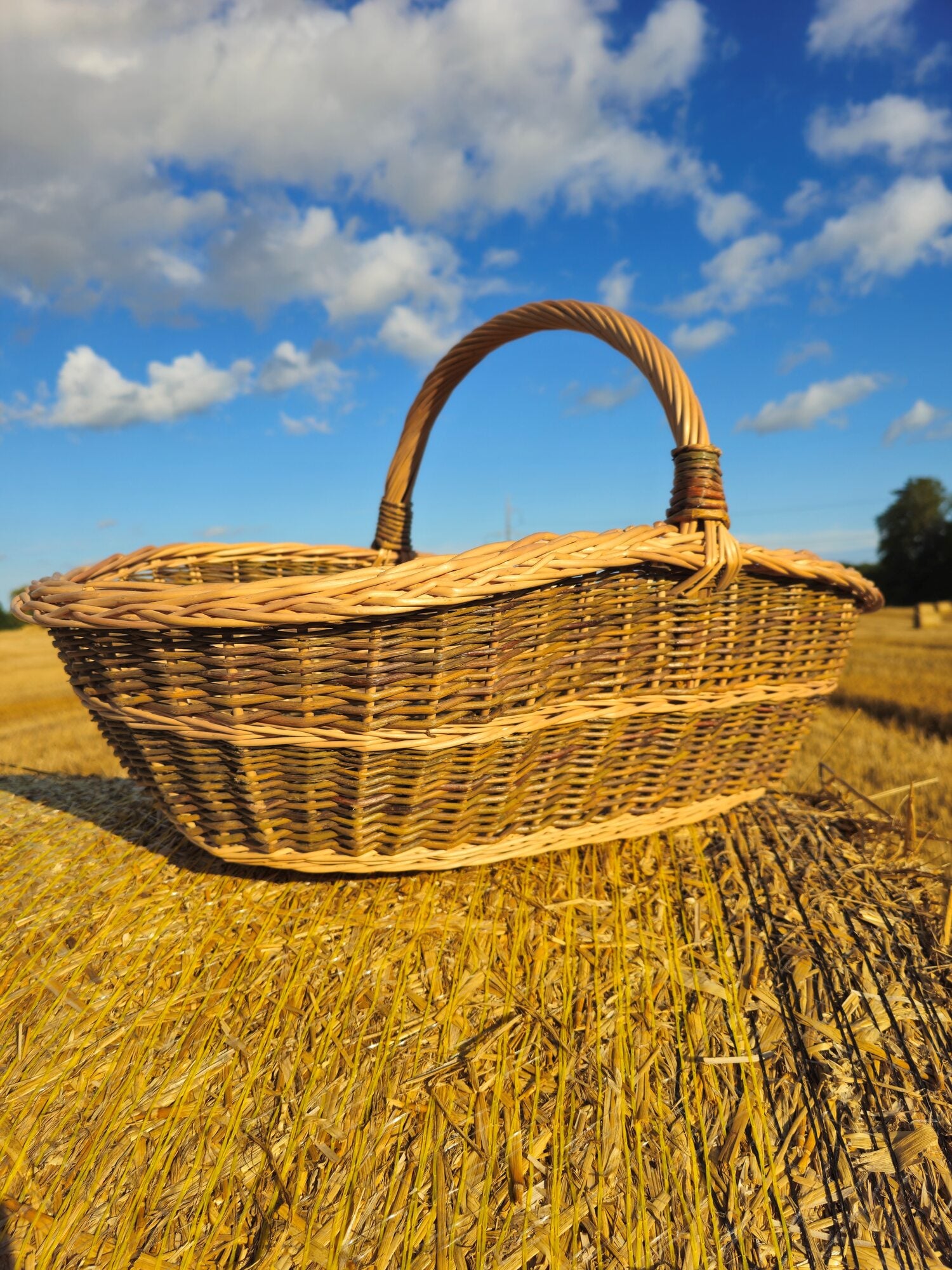 Large wicker basket 004b
