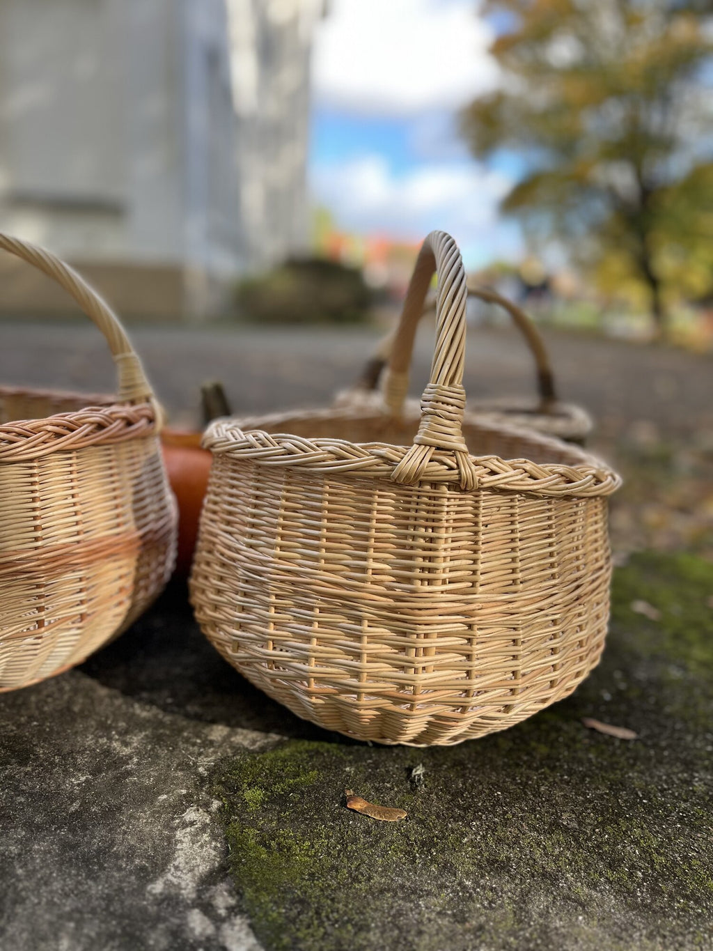 Wicker basket 006b