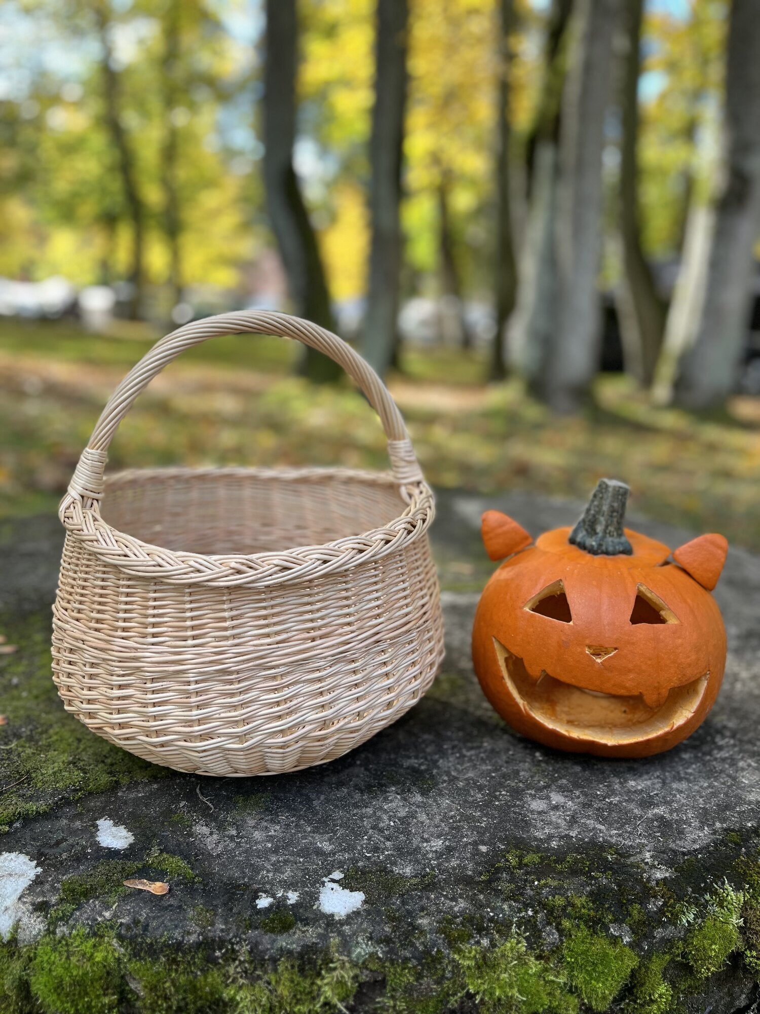 Wicker basket 006b