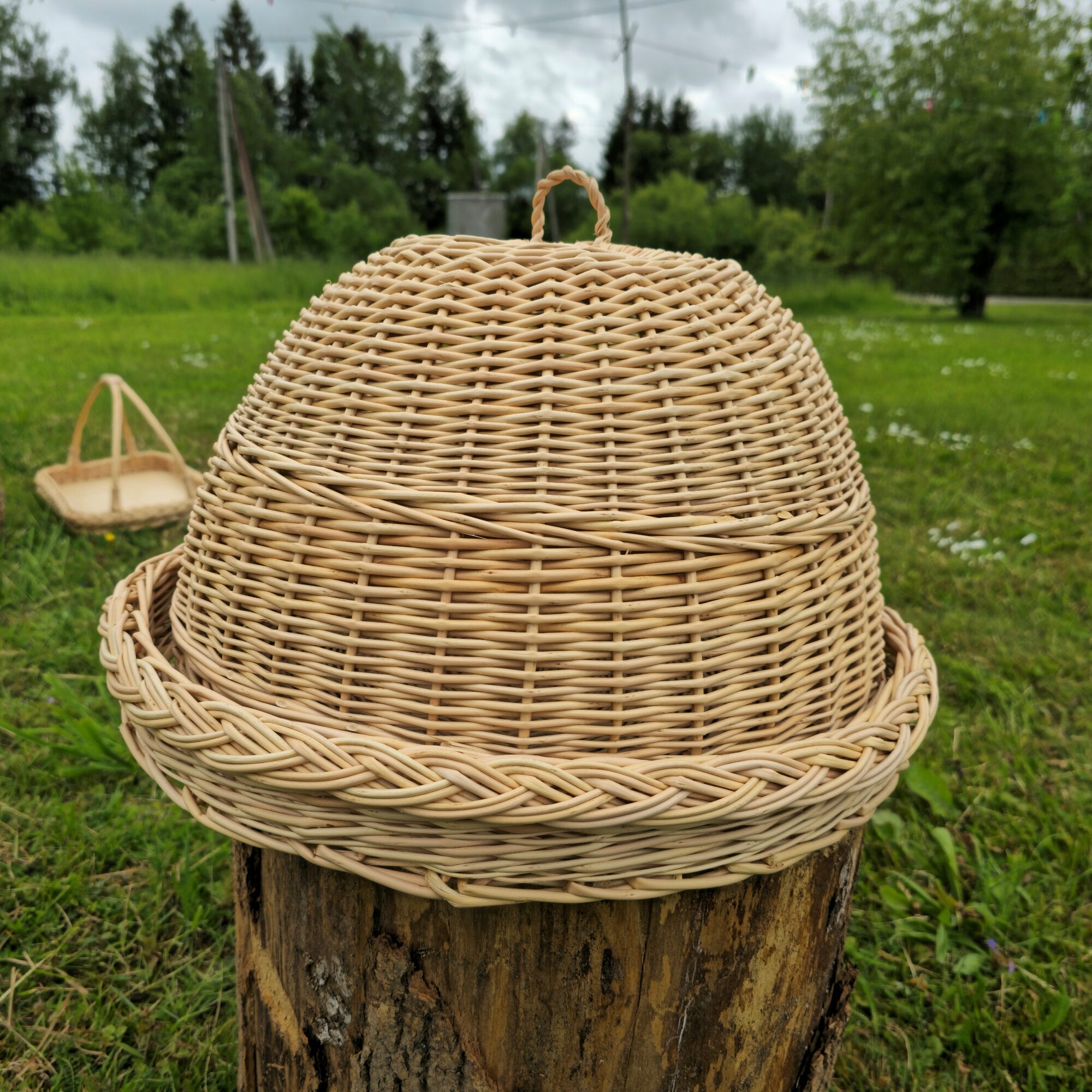 Wicker food cover 007b