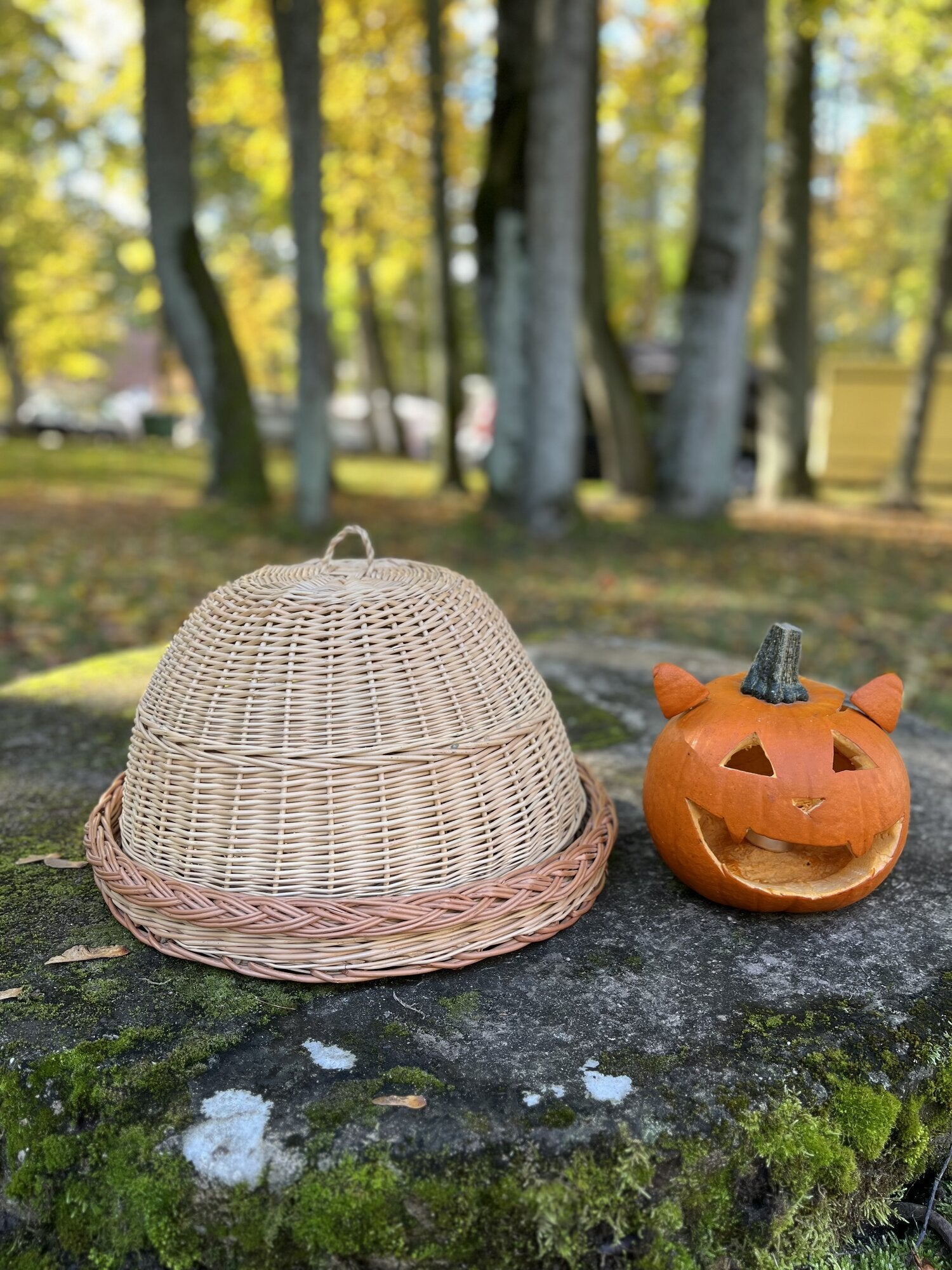 Wicker food cover 007b