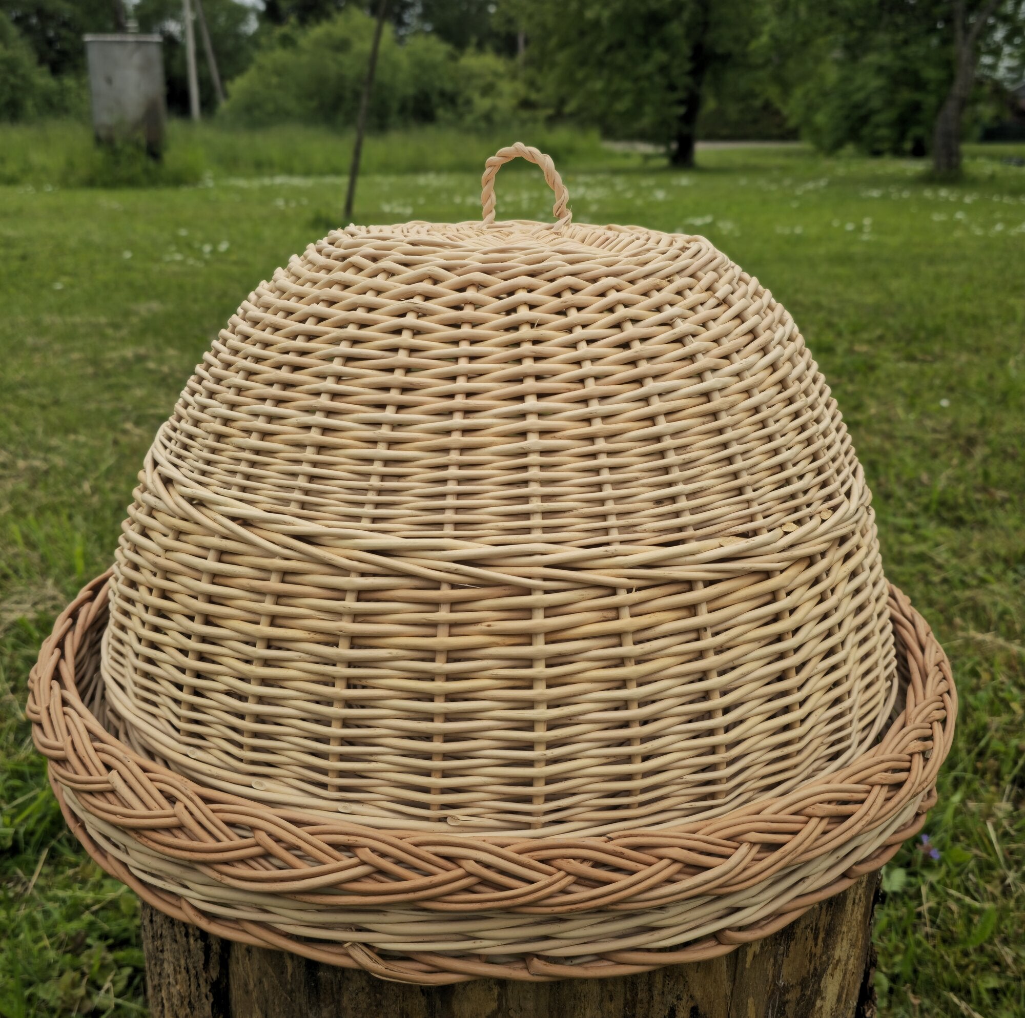 Wicker food cover 007b