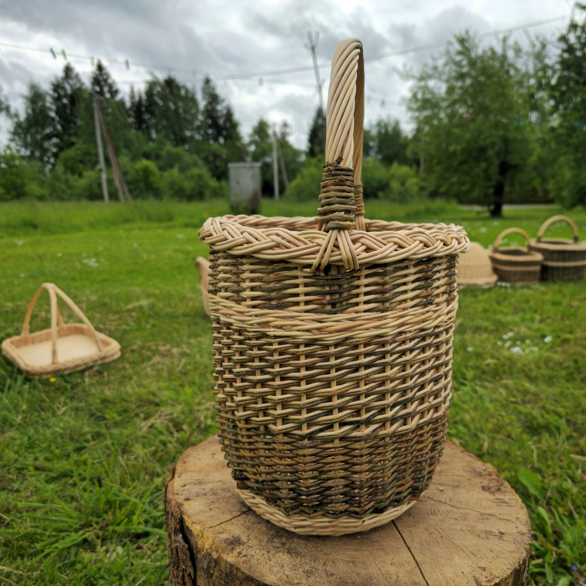 Wicker basket 010b