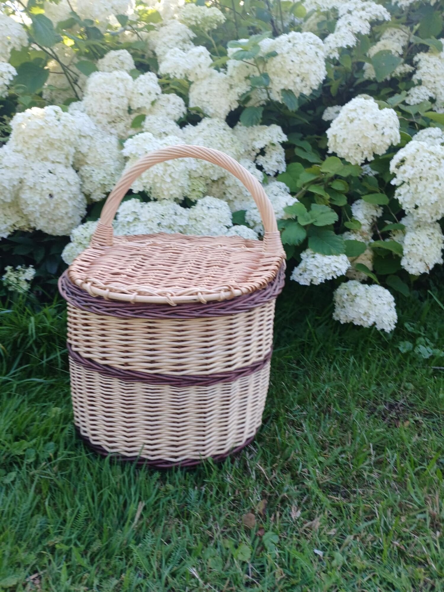 Picnic basket 011b