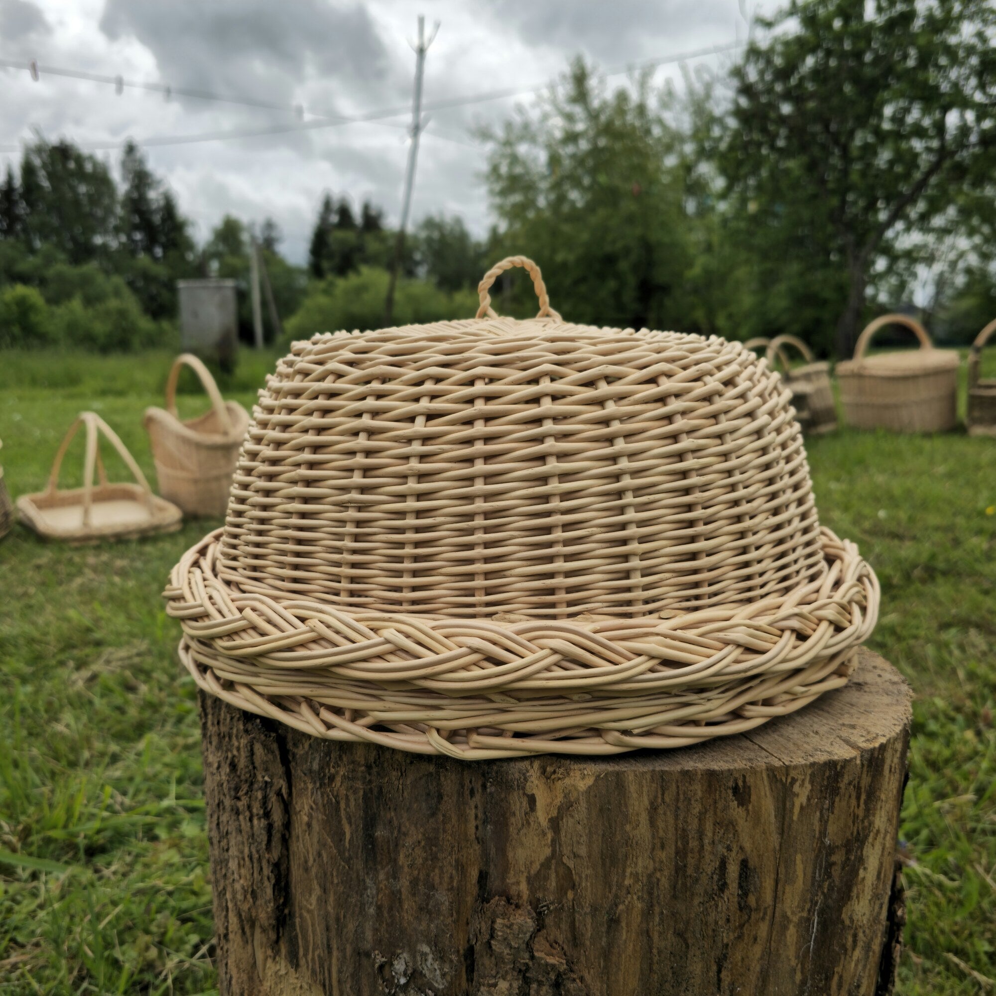 Wicker food cover 017b