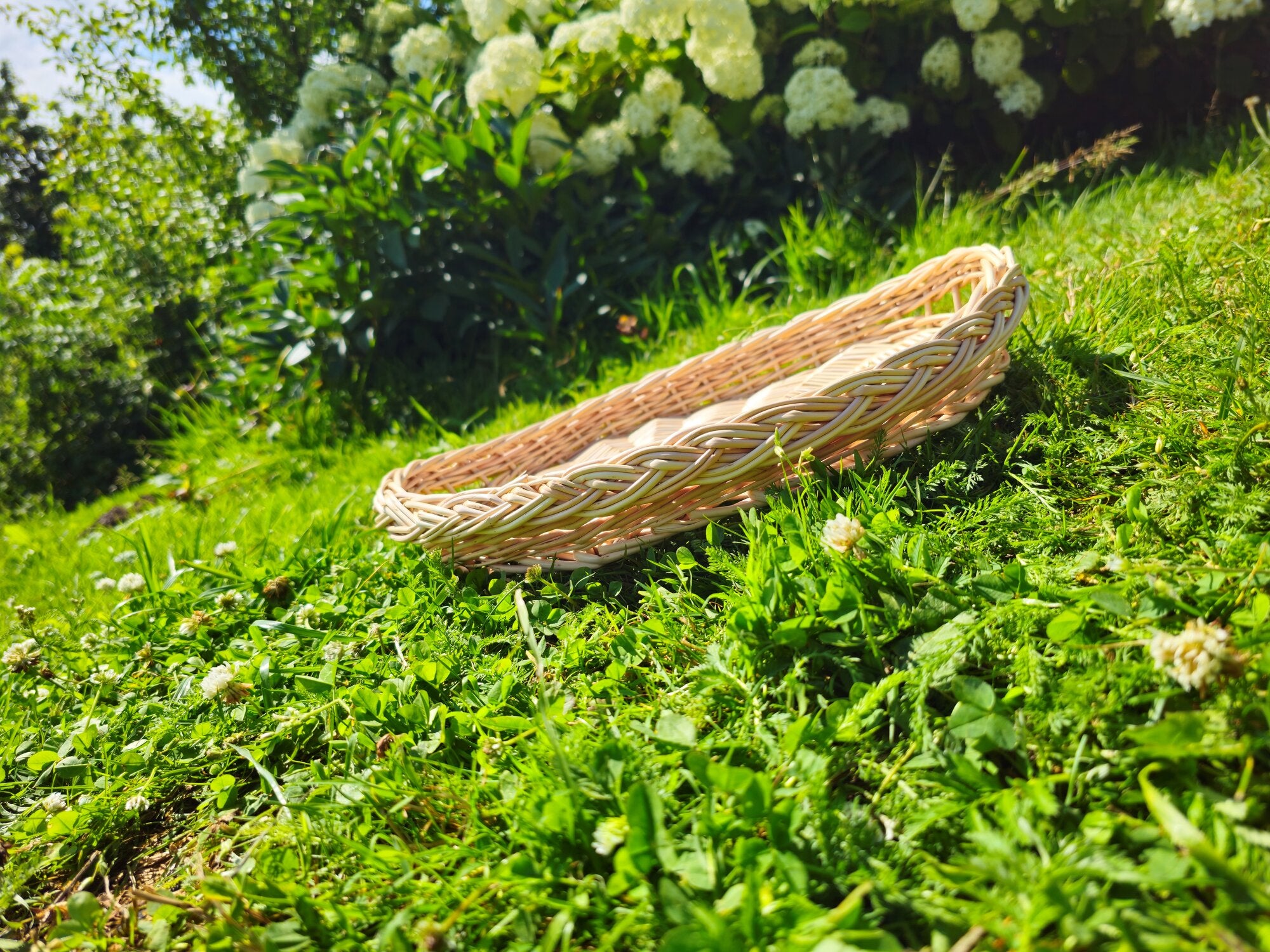 Wicker Tray 019b