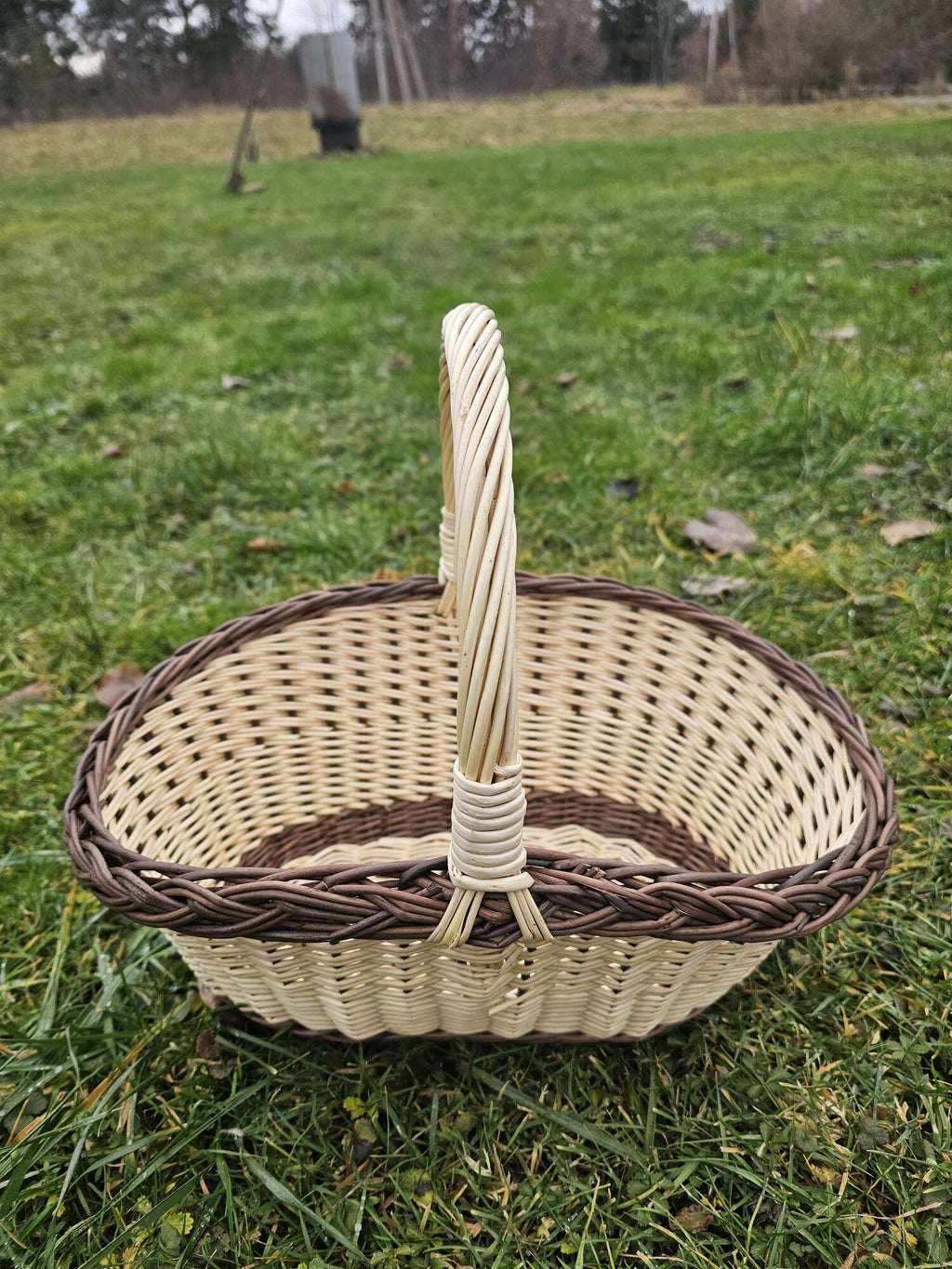 Wicker basket 020b