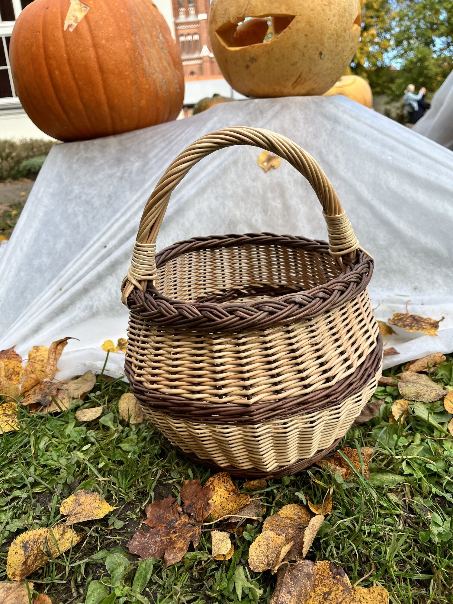Small wicker basket 021b