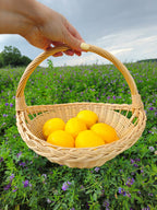 Wicker tray 024b