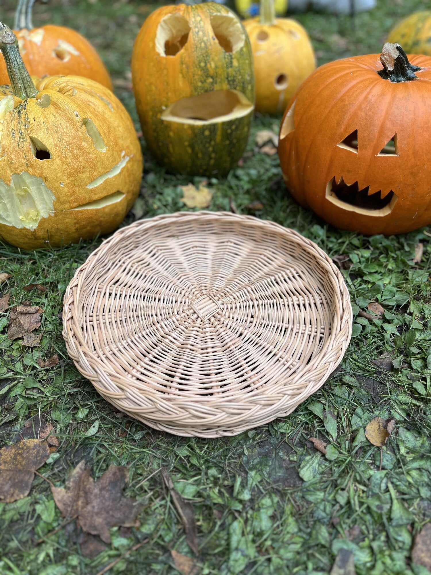 Wicker tray 025b