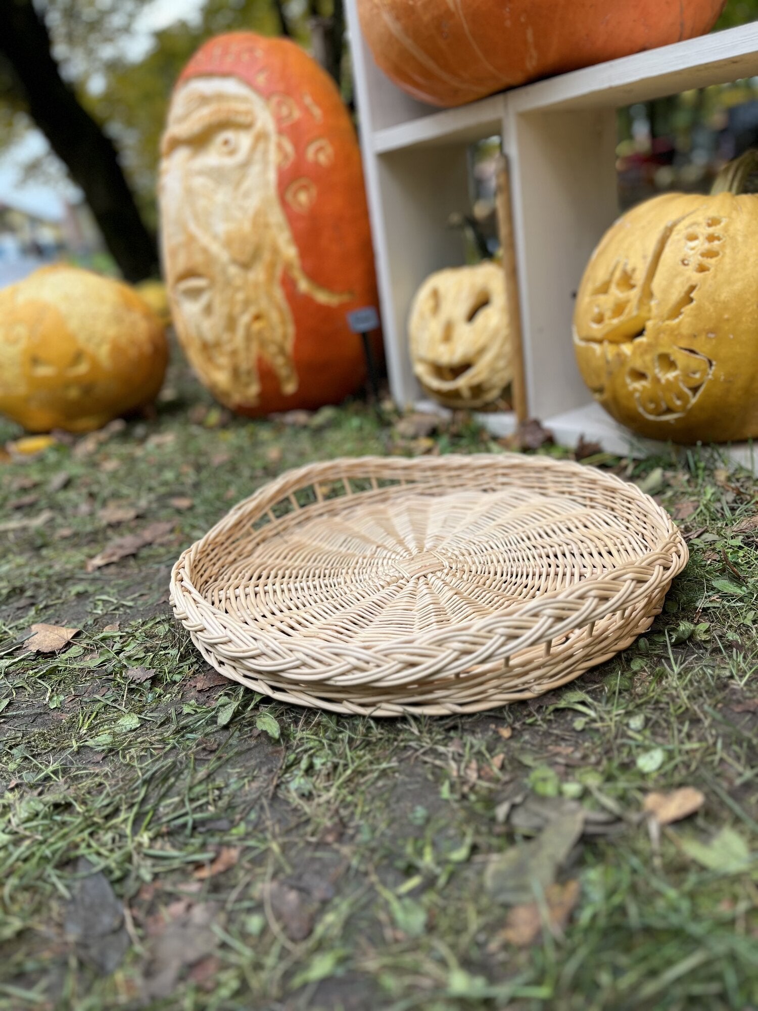 Wicker tray 025b