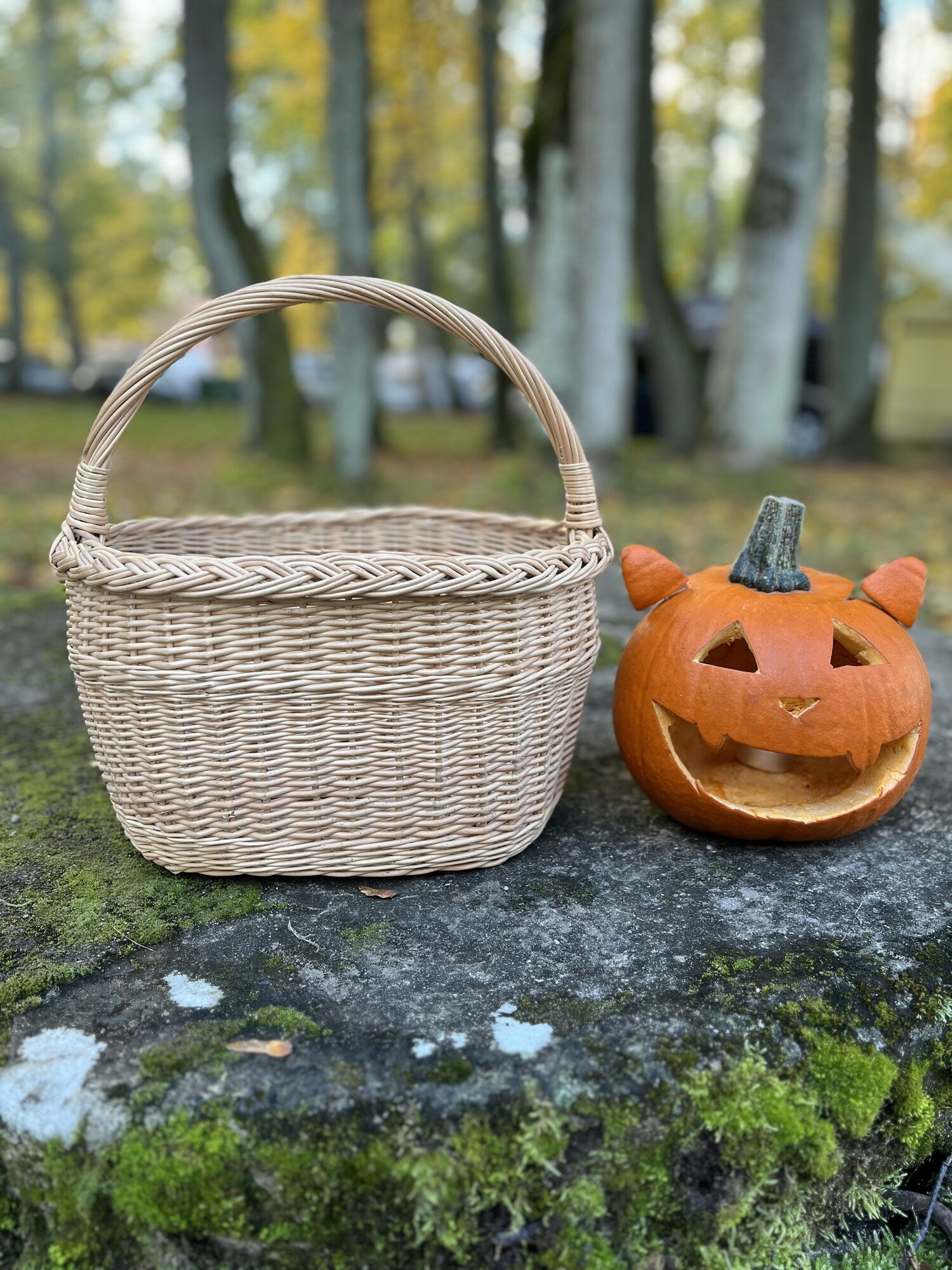 Wicker basket 026b