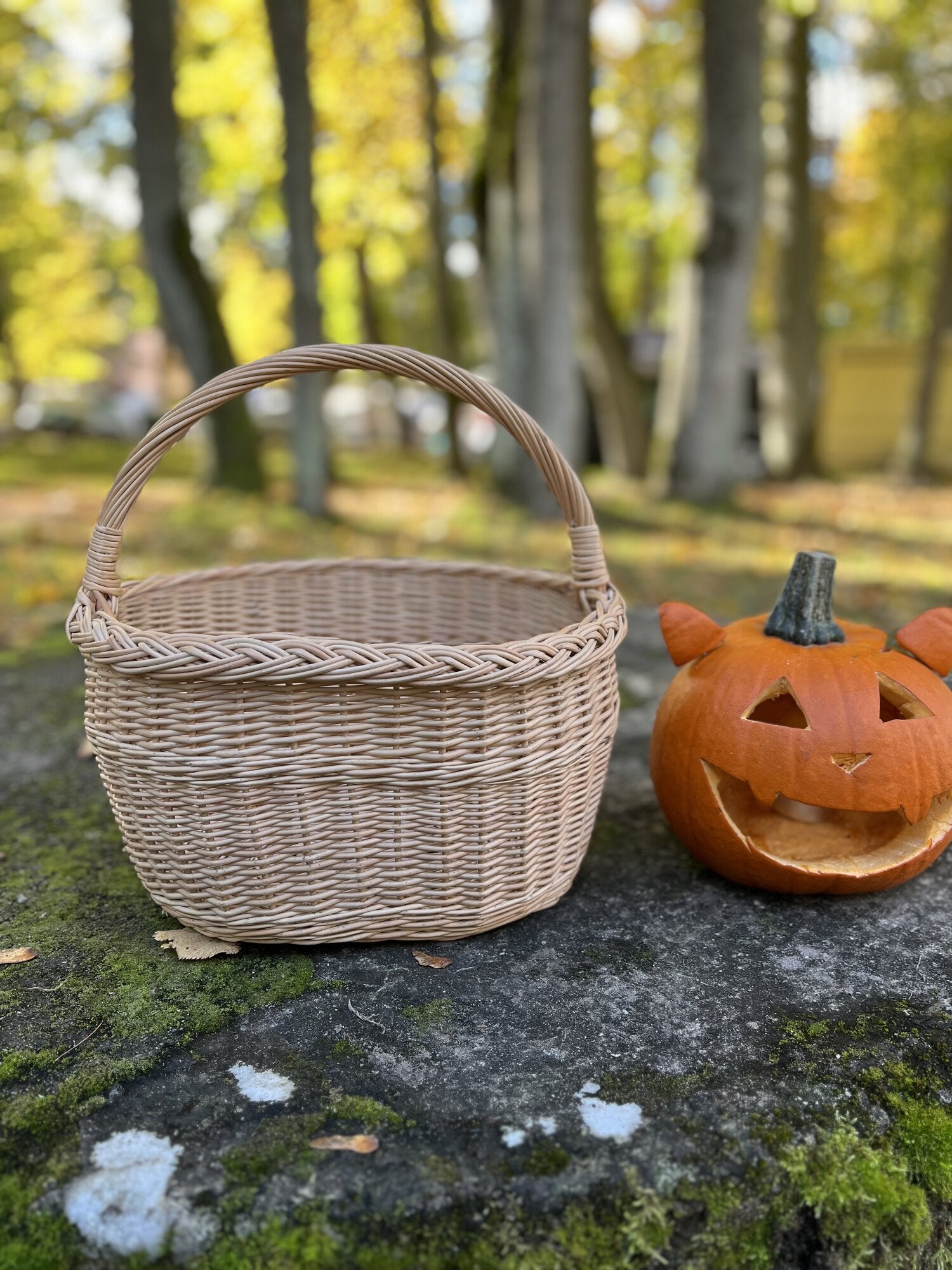 Wicker basket 026b