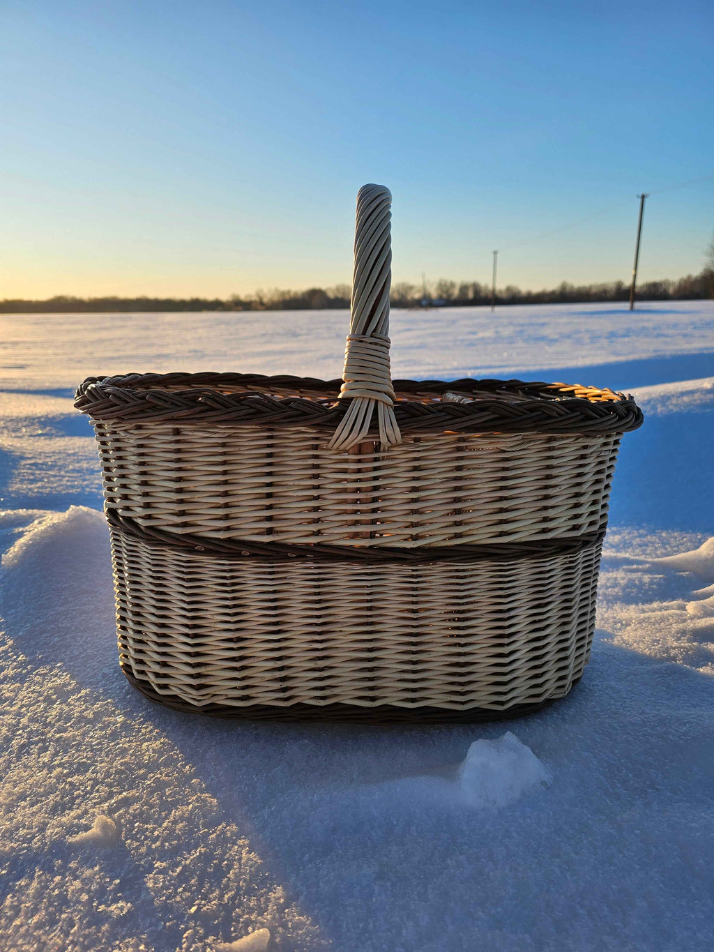 Bottle Basket 029b