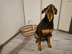 Large wicker basket 004b