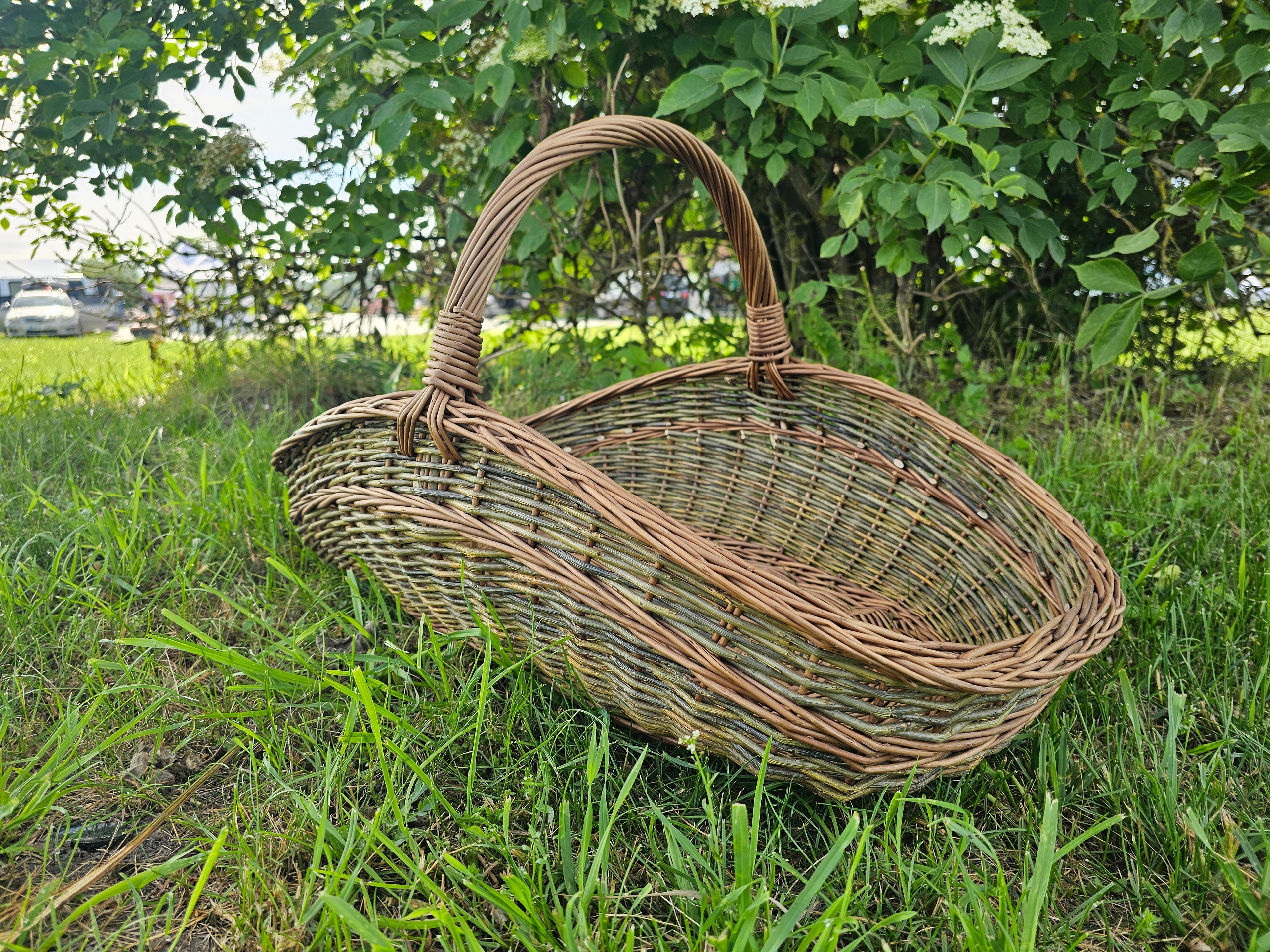 Large Unpeeled Willow Trug 027b-5