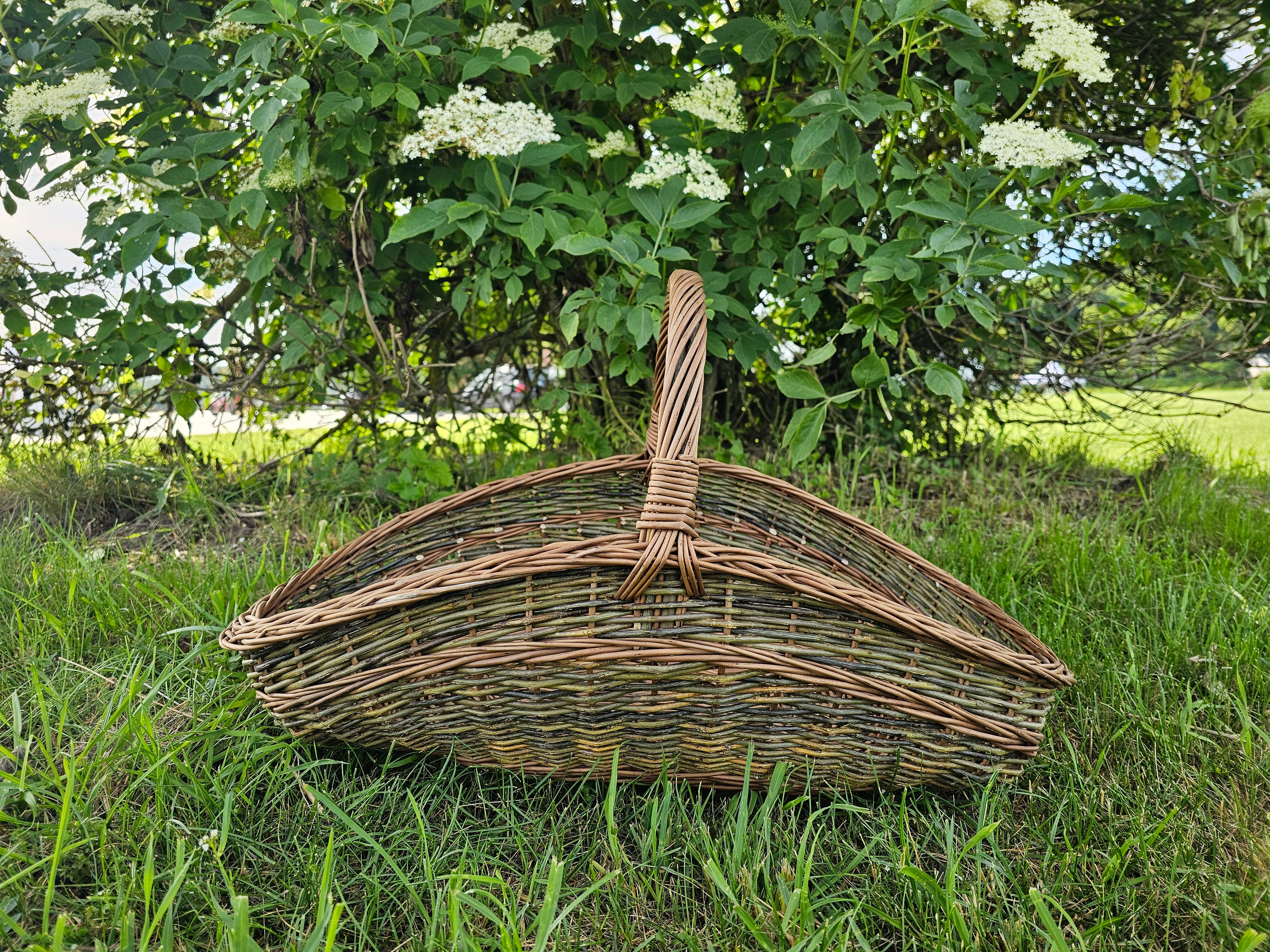 Large Unpeeled Willow Trug 027b-5