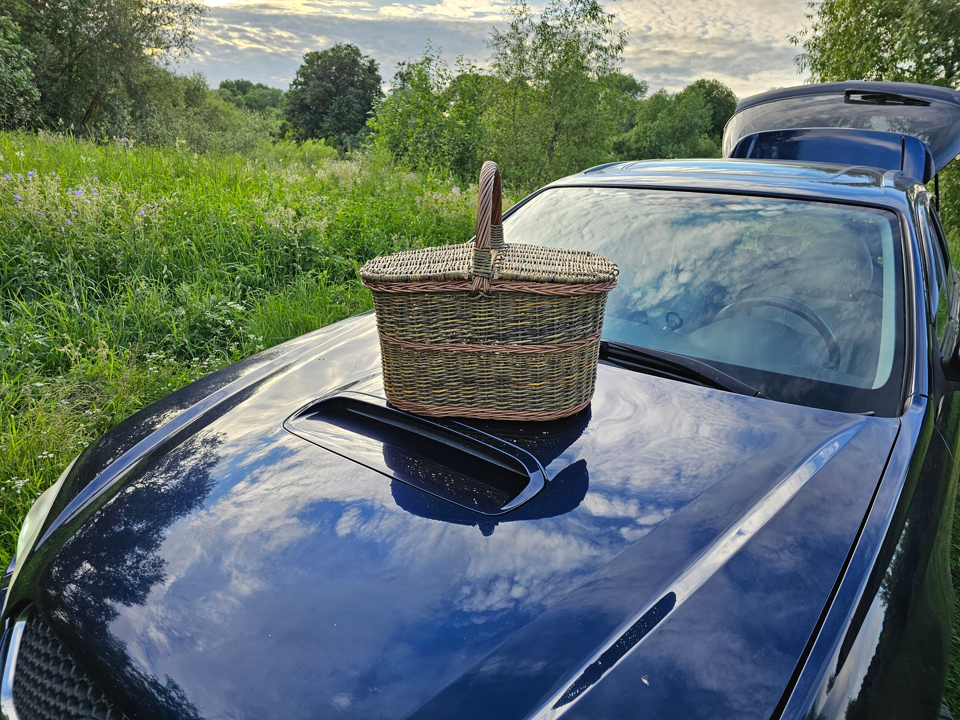 Dark picnic basket 011b