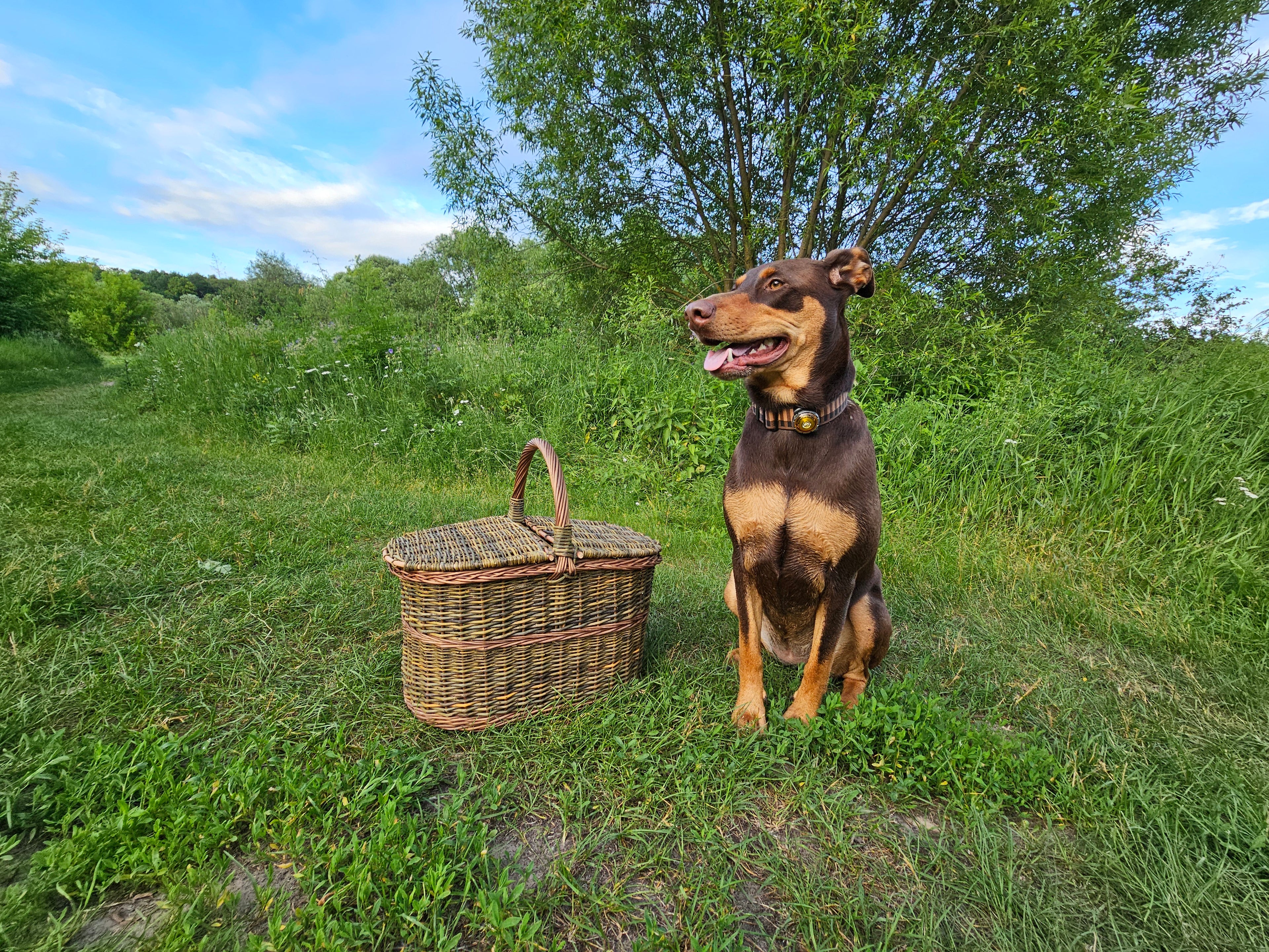 Dark picnic basket 011b