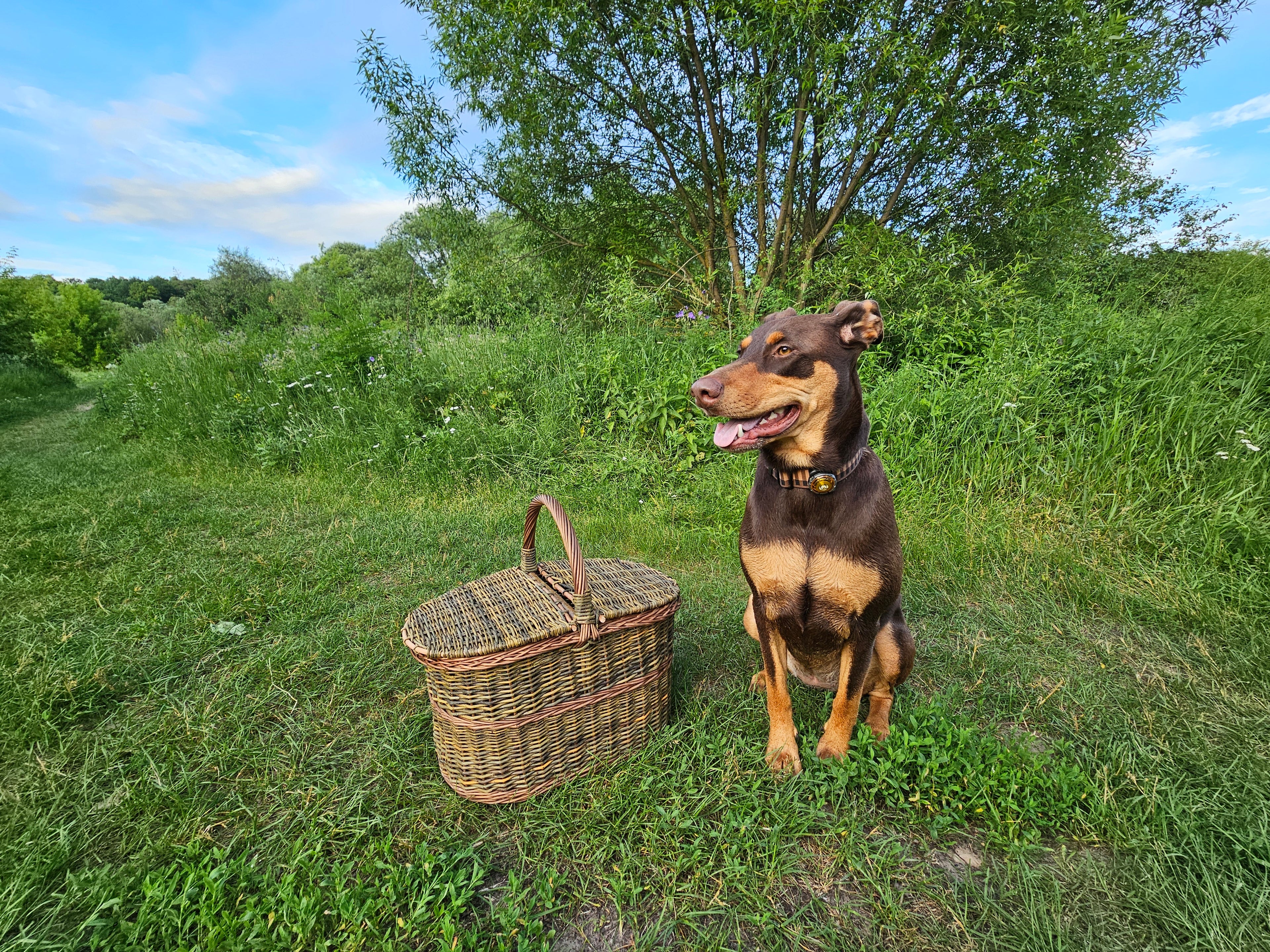 Dark picnic basket 011b