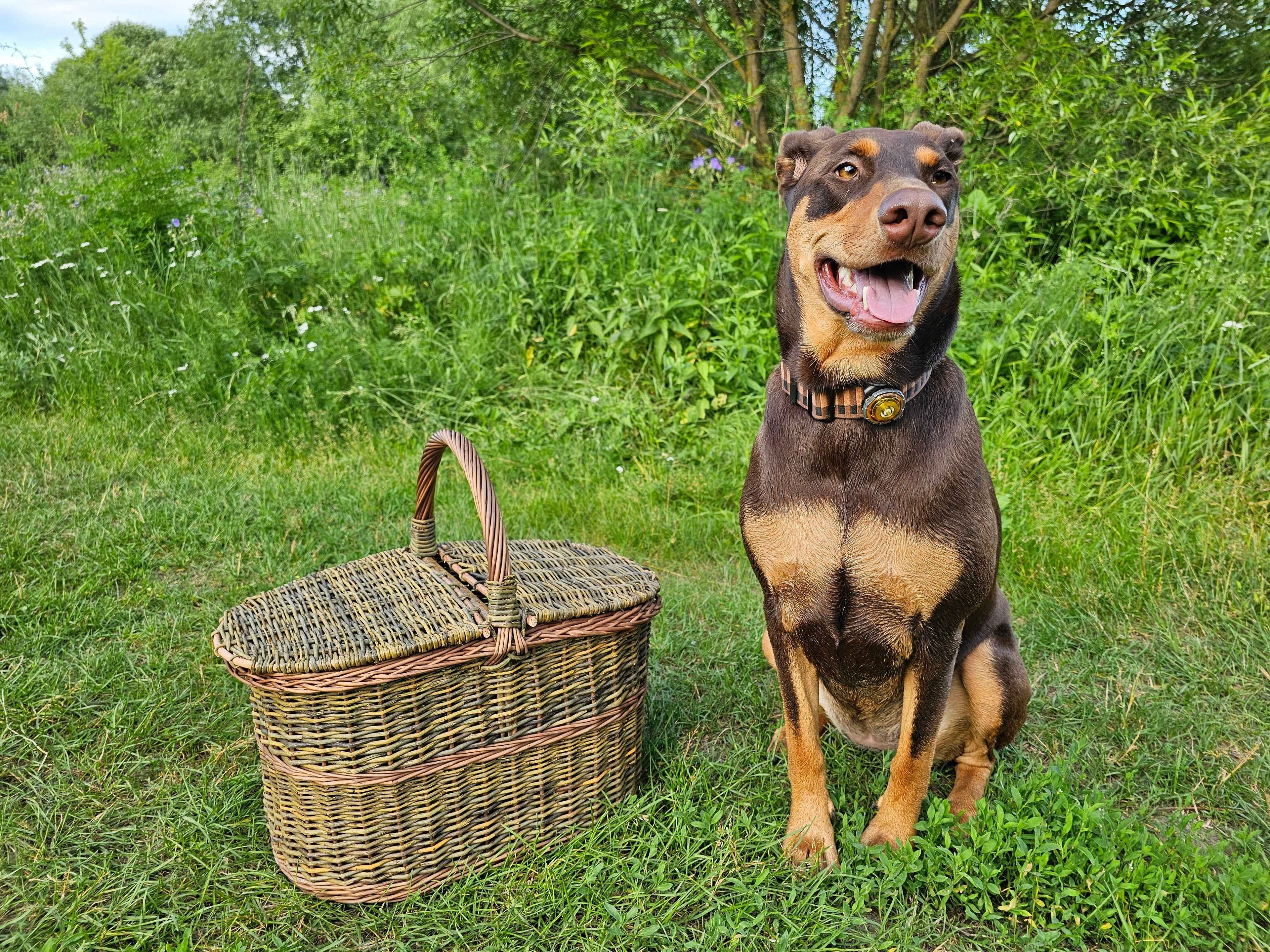 Dark picnic basket