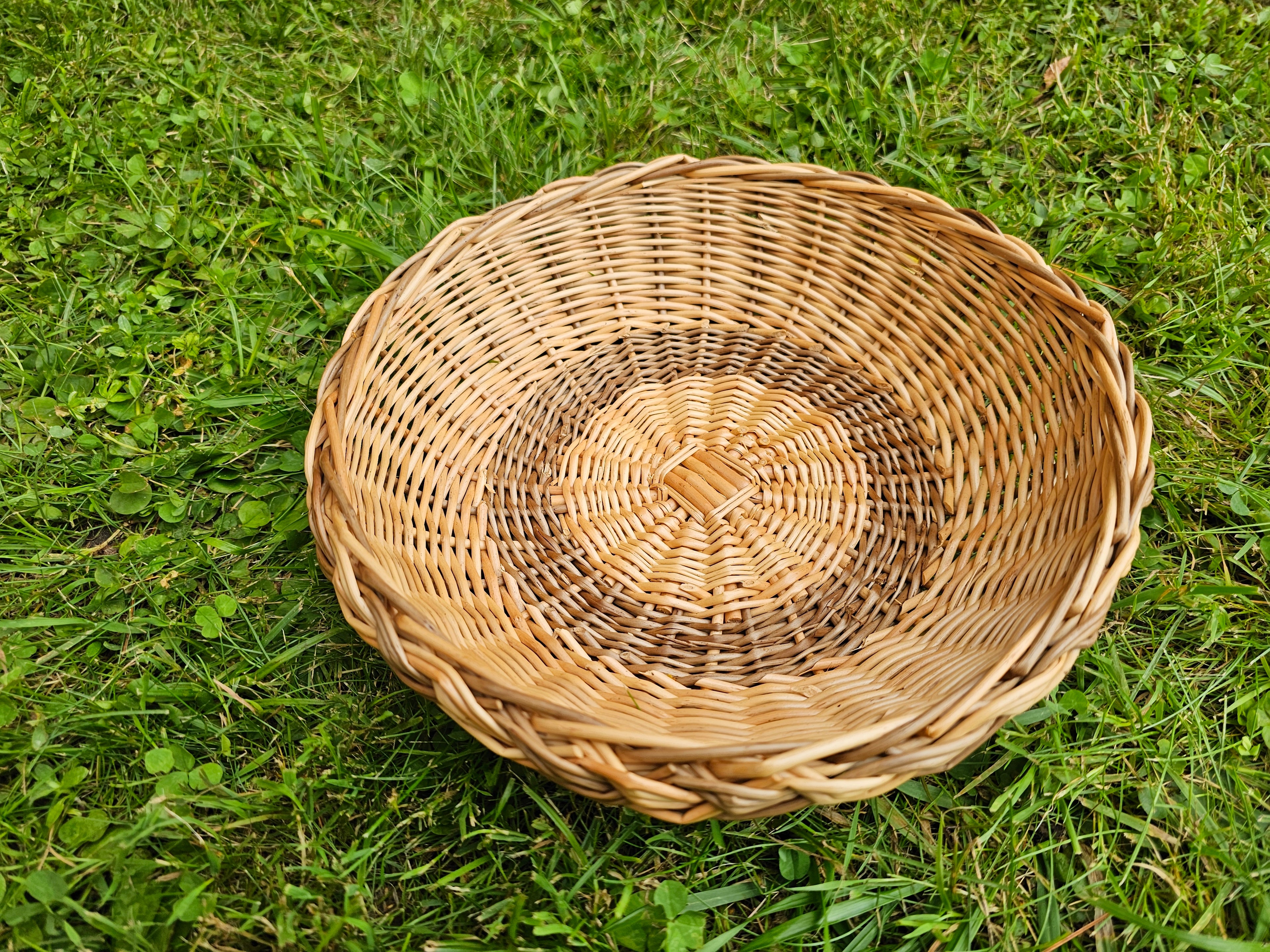 Wicker plate 044b
