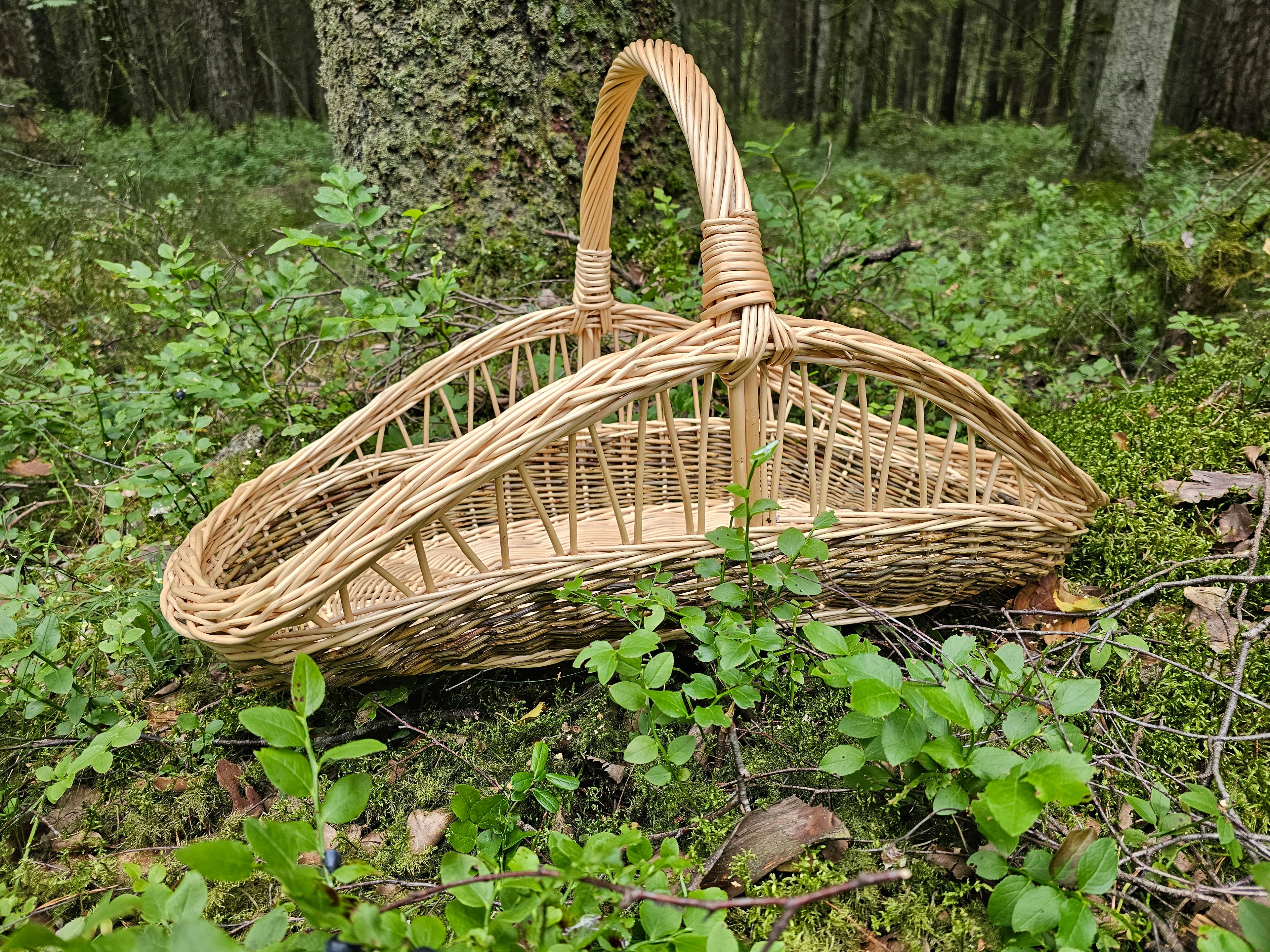 Decorative Wicker Garden Trug 027b-6