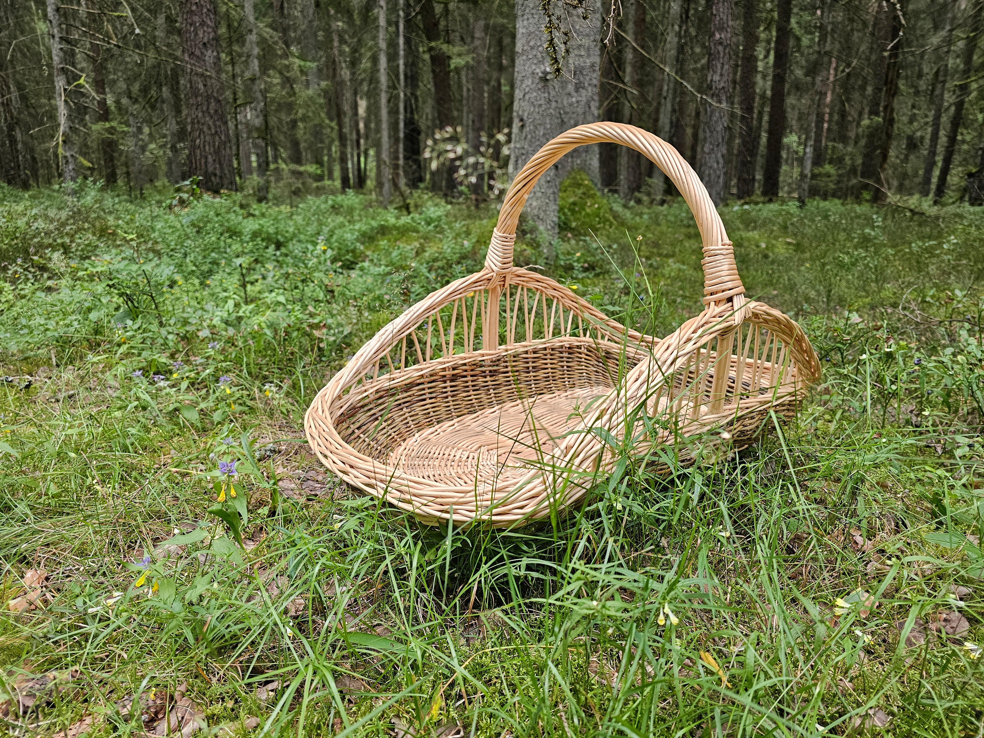 Decorative Wicker Garden Trug 027b-6