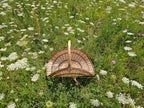 Flower Basker 031b-2