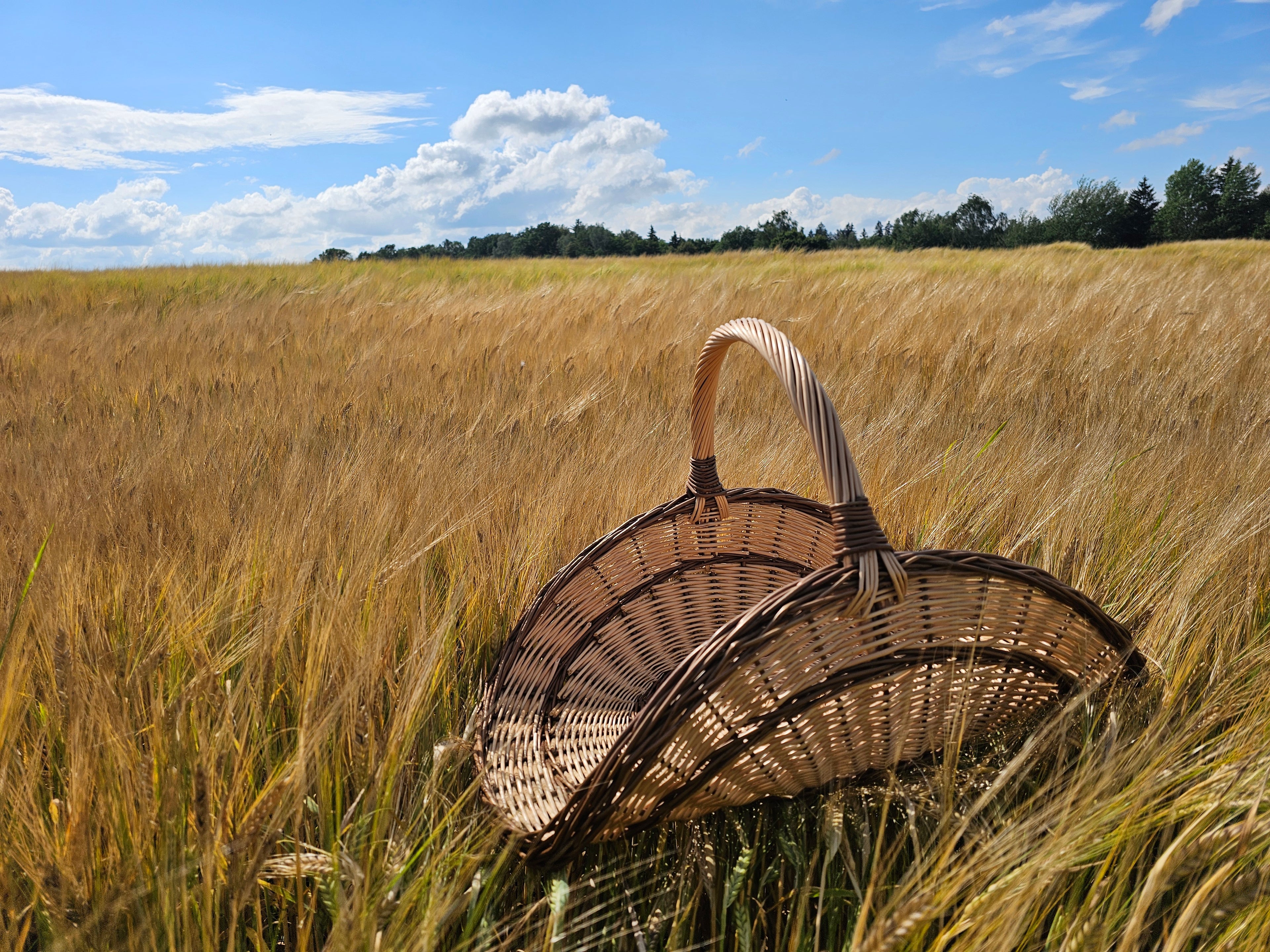 Wicker flower basket 031b