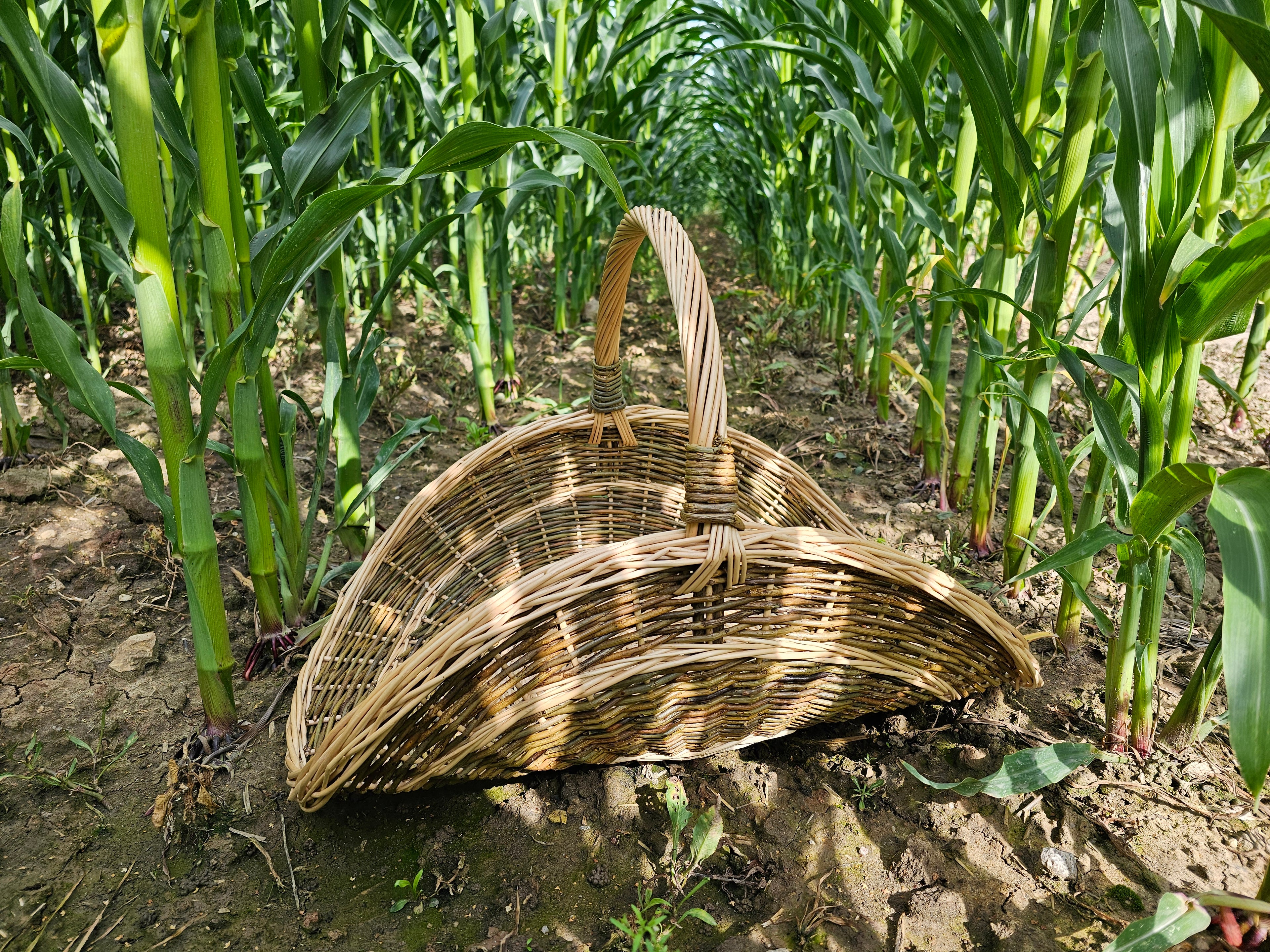 Willow Flower Girl Basket 031b-3