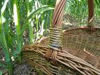 Large Unpeeled Willow Trug 027b-5