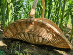 Wicker flower basket 031b