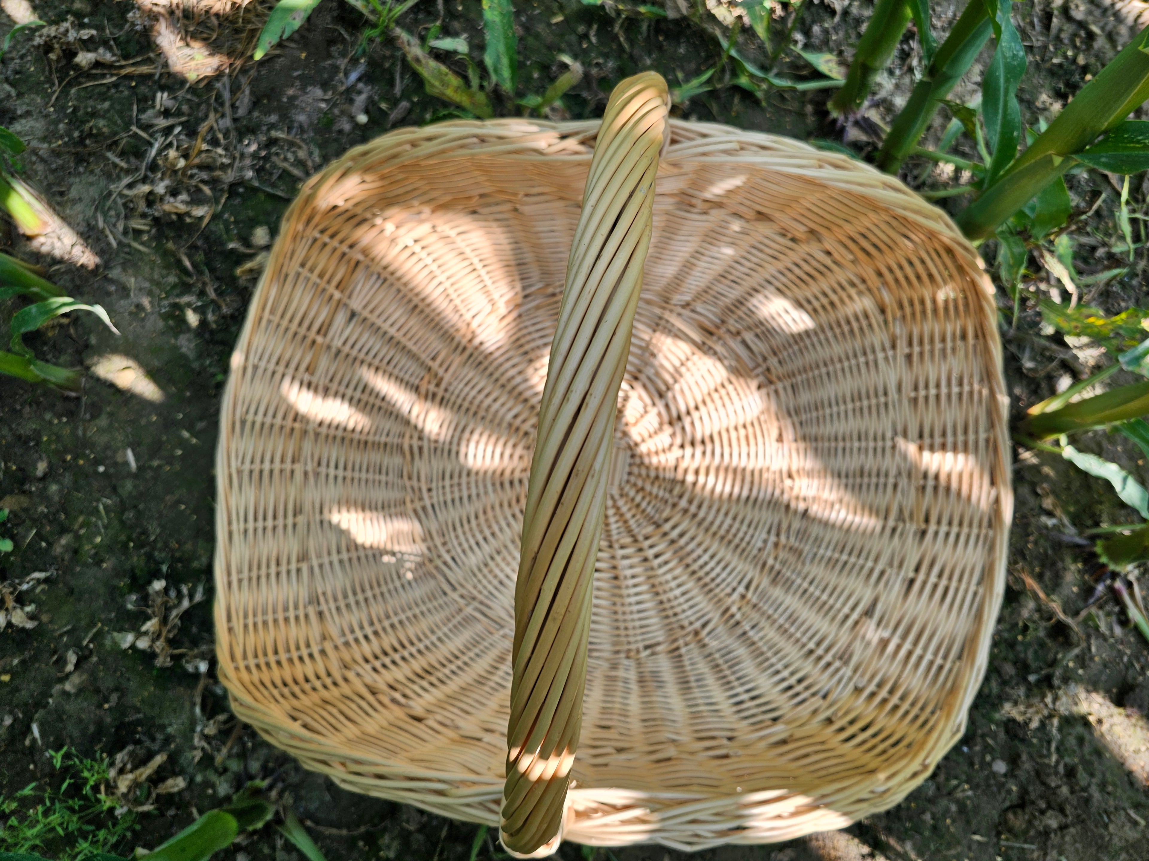 Wicker flower basket 031b