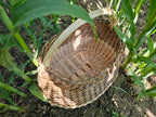 Wicker basket 015r