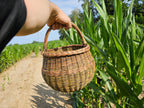 Wicker basket 049b