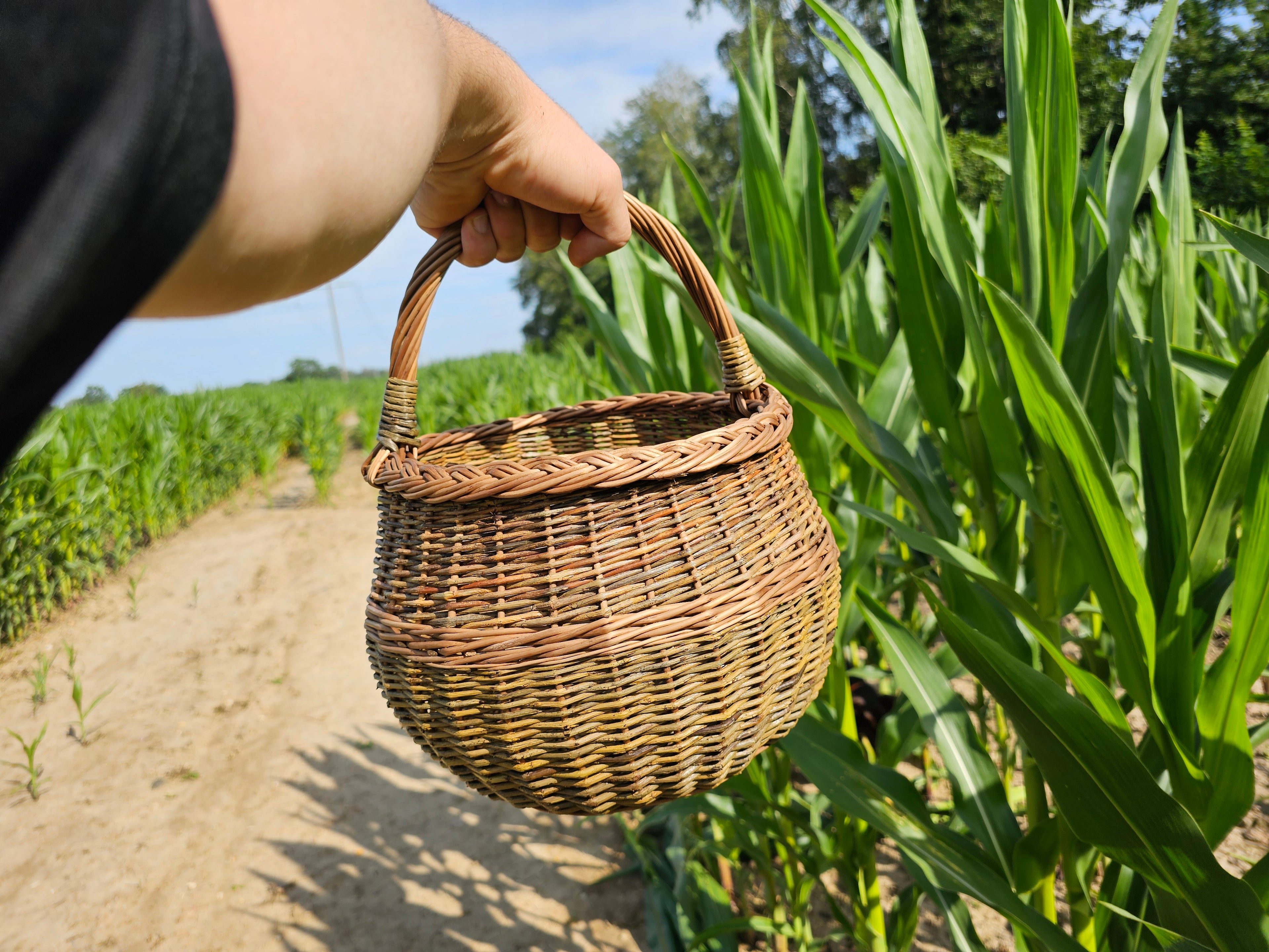 Wicker basket 049b