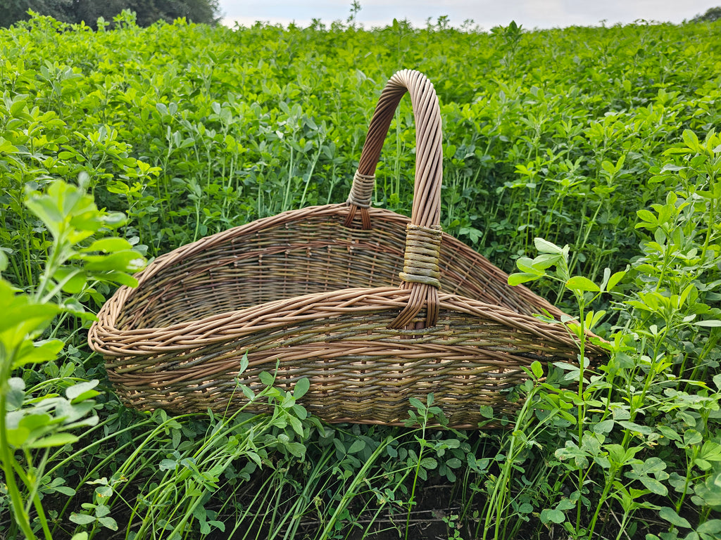 Large Unpeeled Willow Trug 027b-5