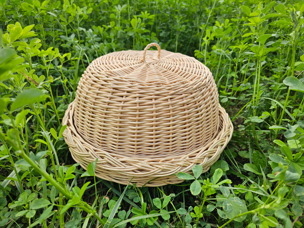 Wicker food cover 017b