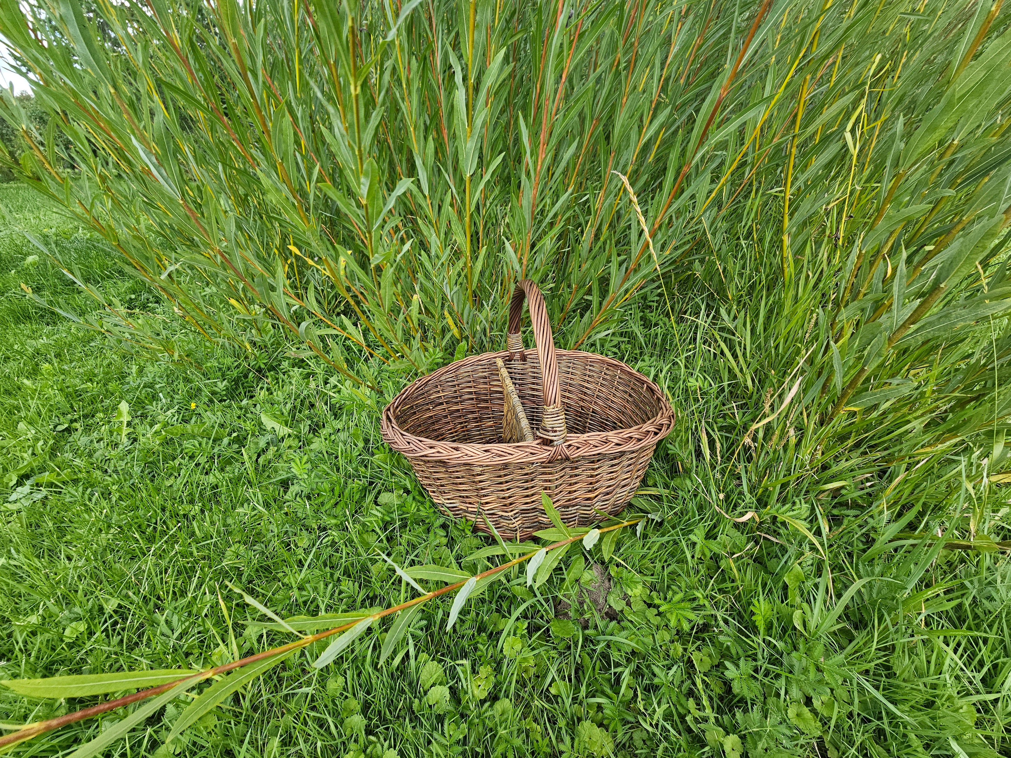 Wicker Picnic Basket with Divider
