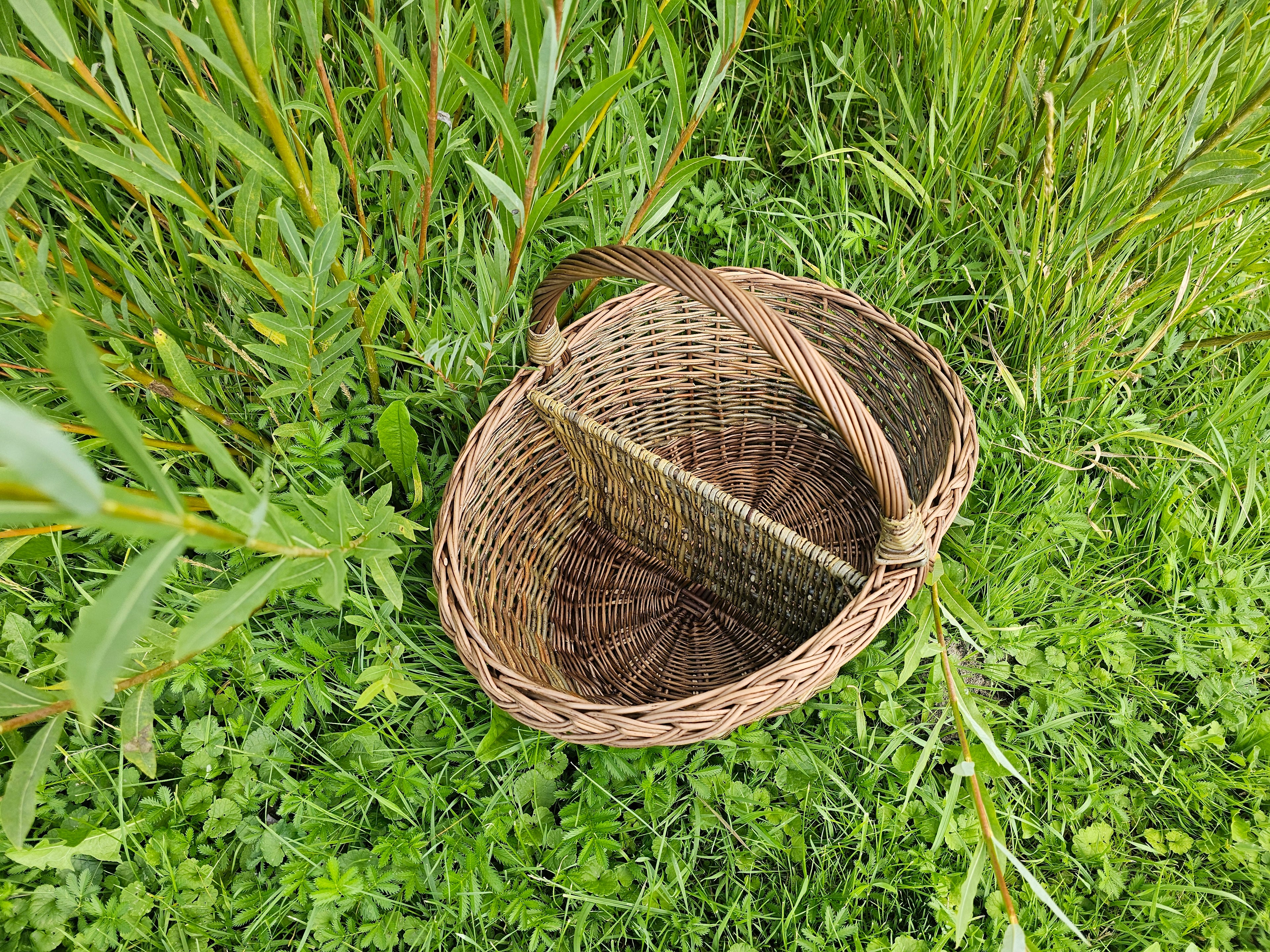 Wicker Picnic Basket with Divider