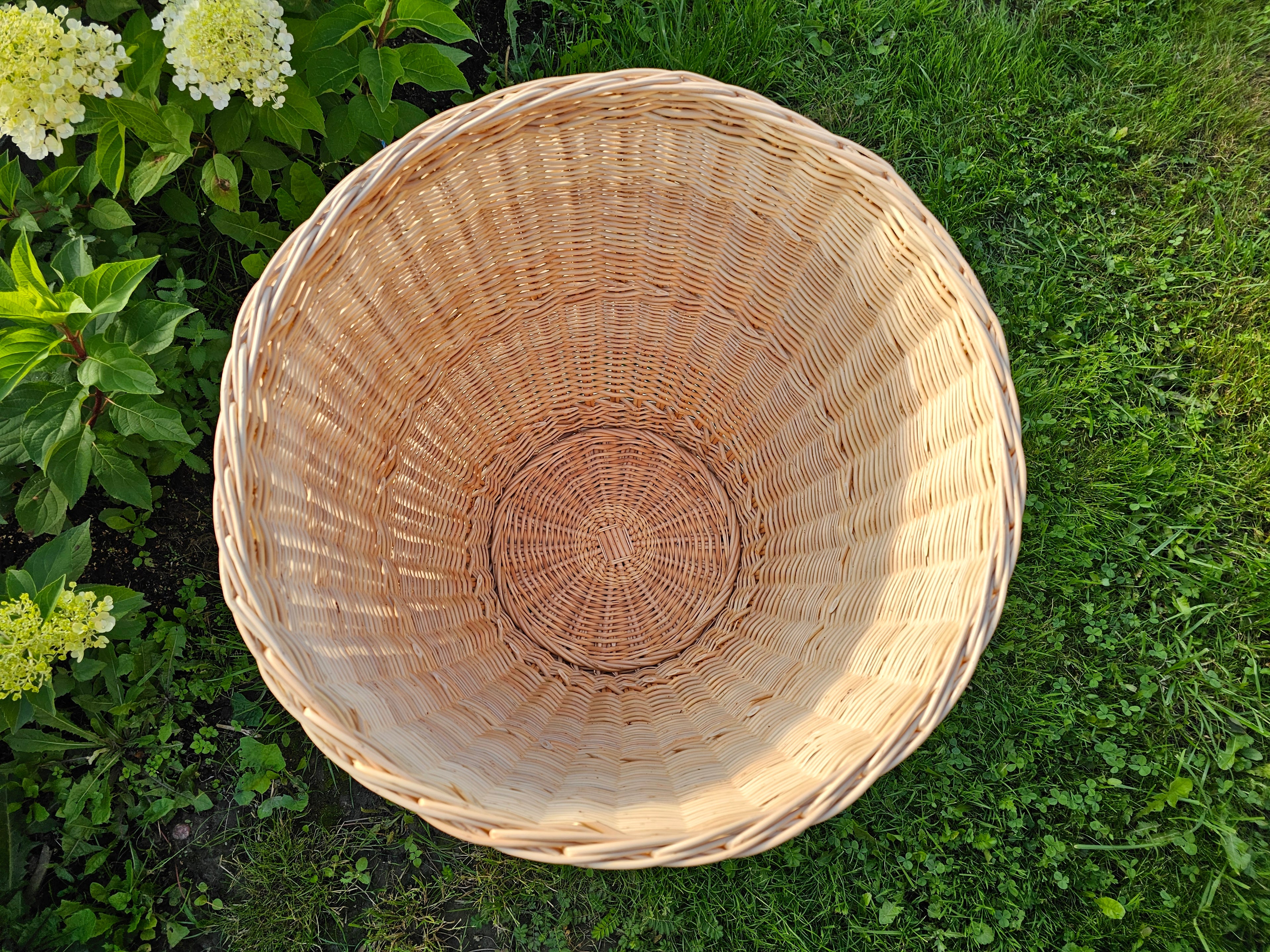 Display Basket 001r