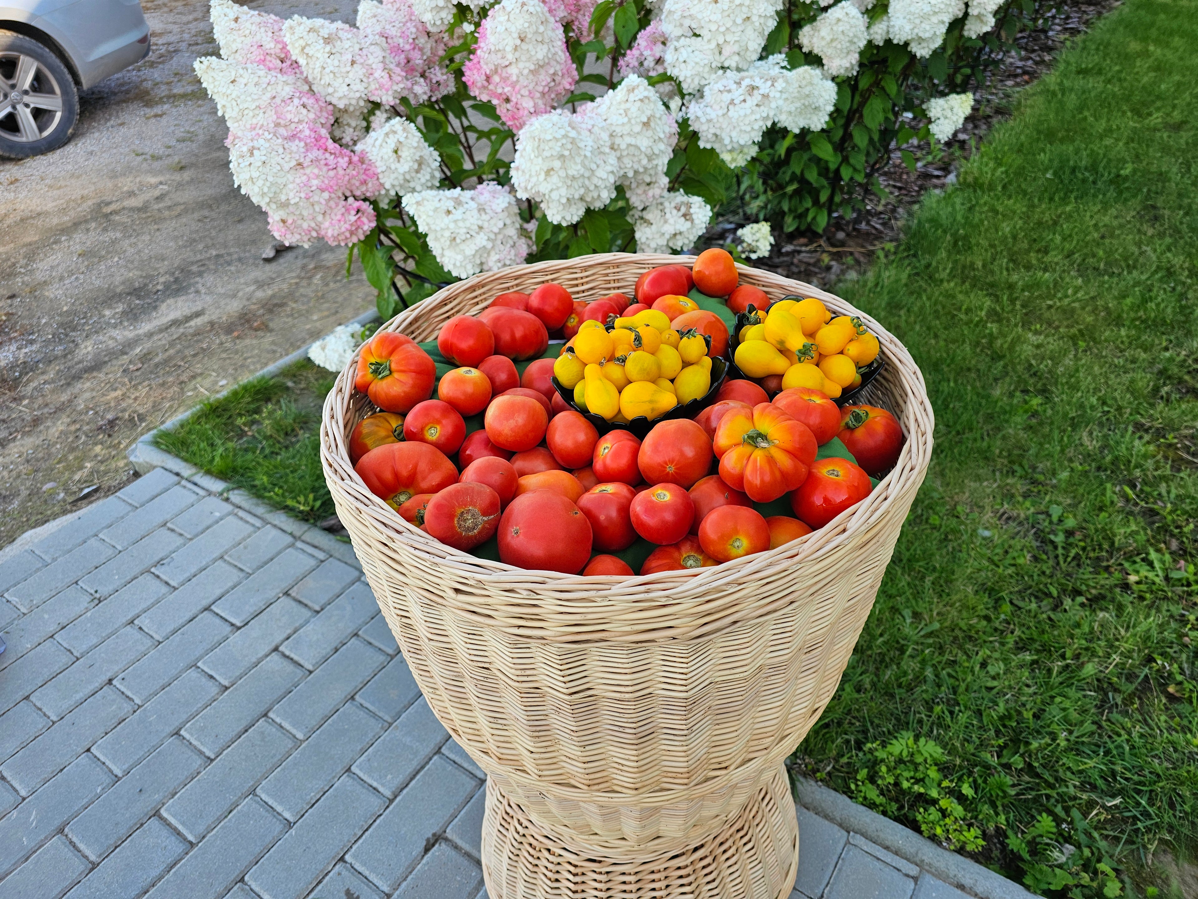 Display Basket 001r