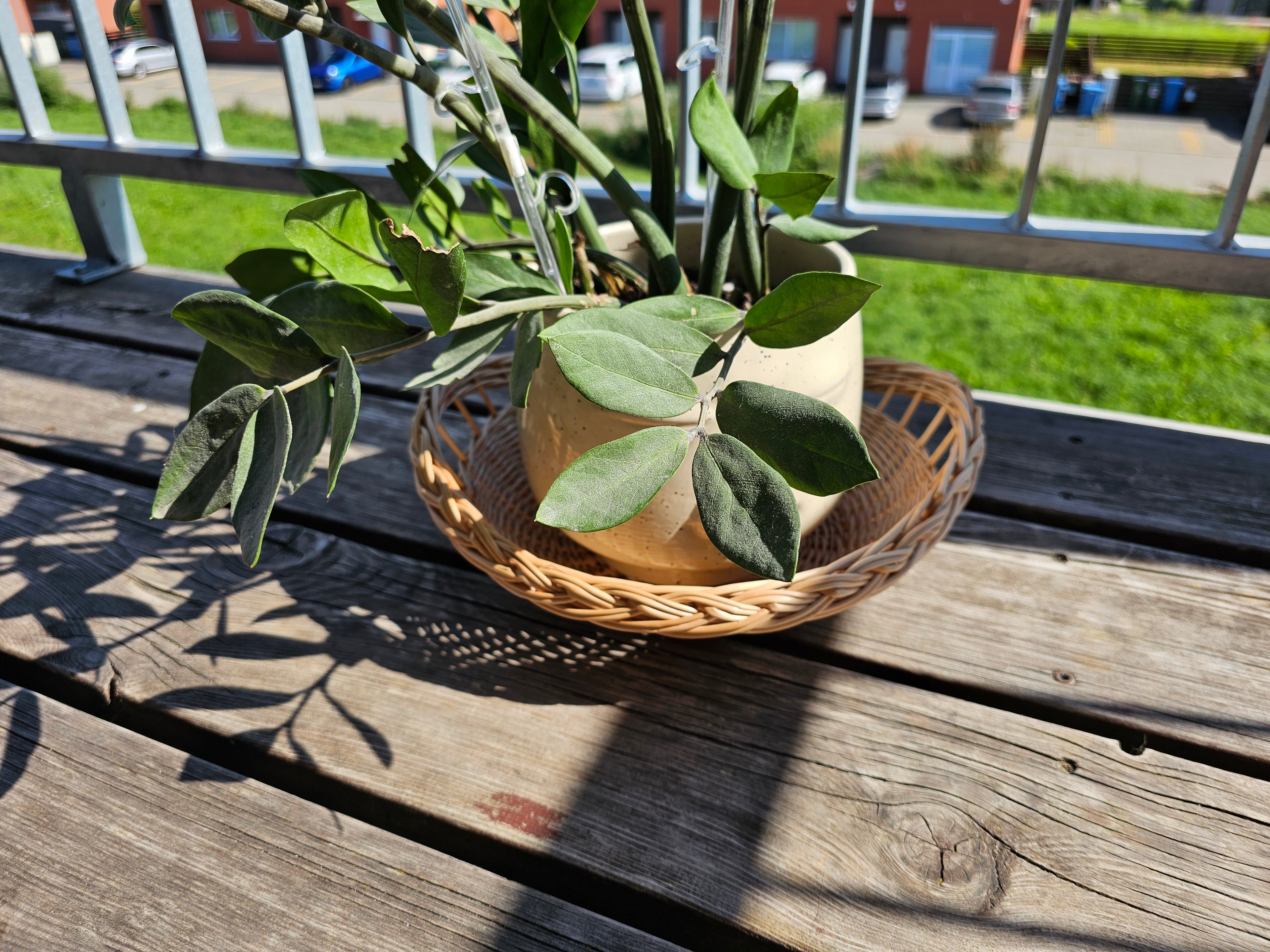 Wicker tray 043b