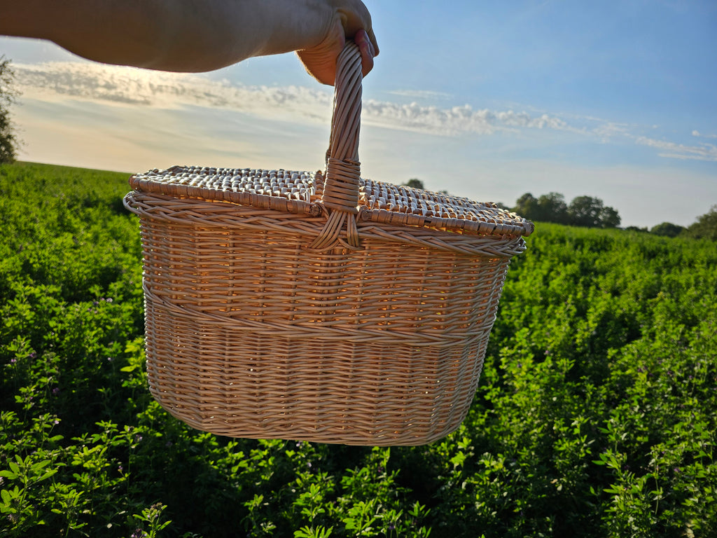Picnic basket 011b
