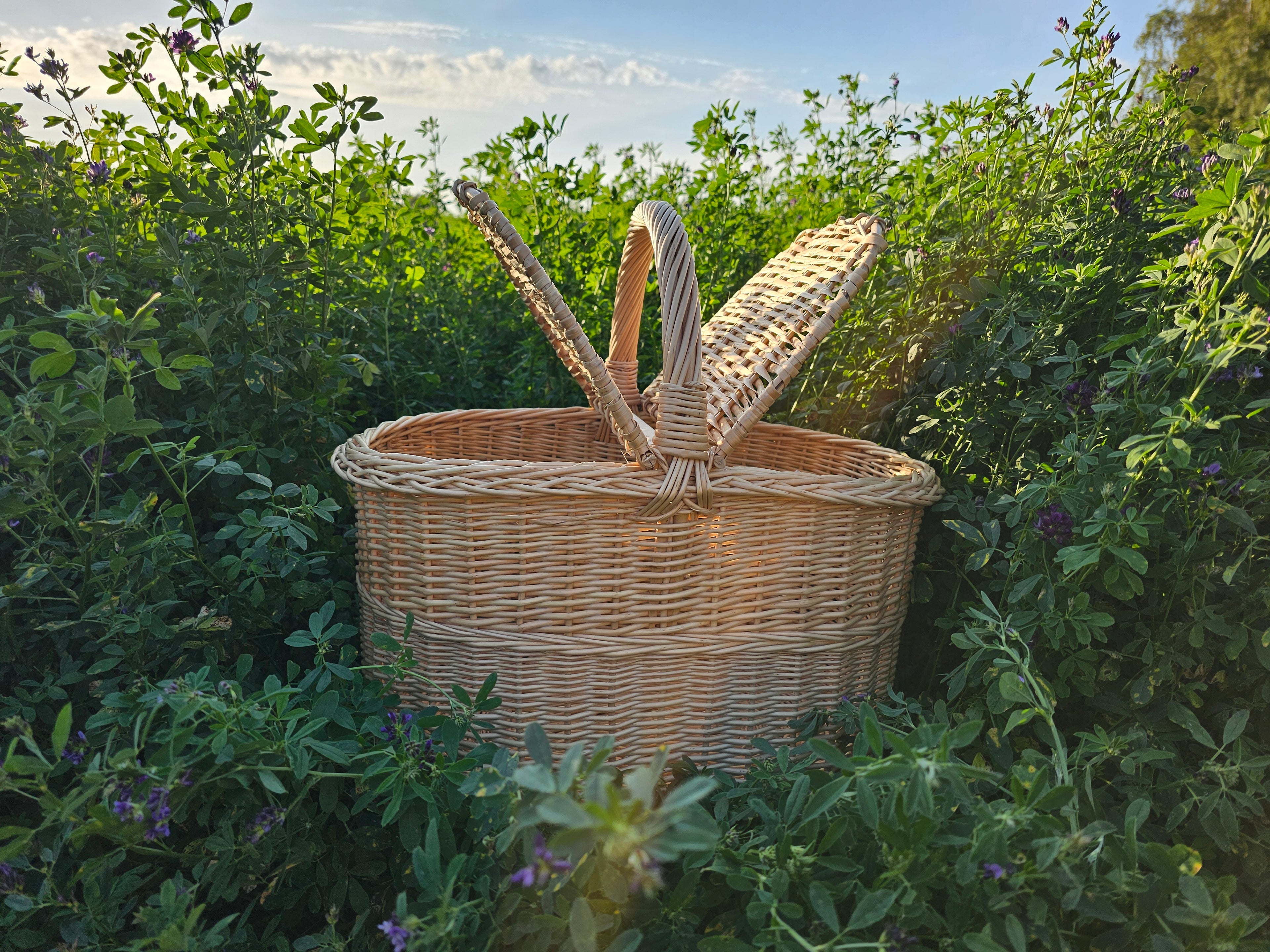Picnic basket 011b