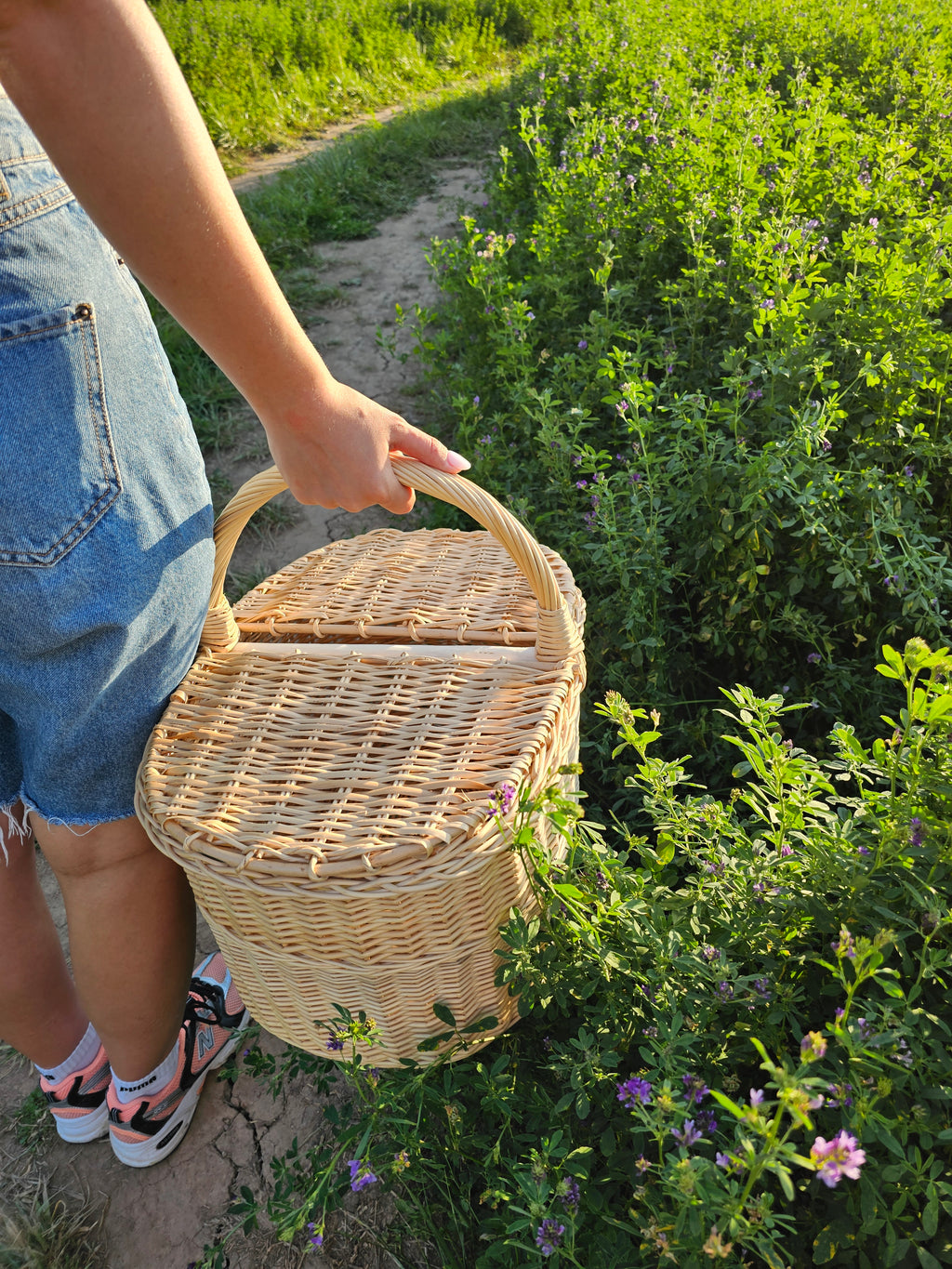 Picnic basket 011b