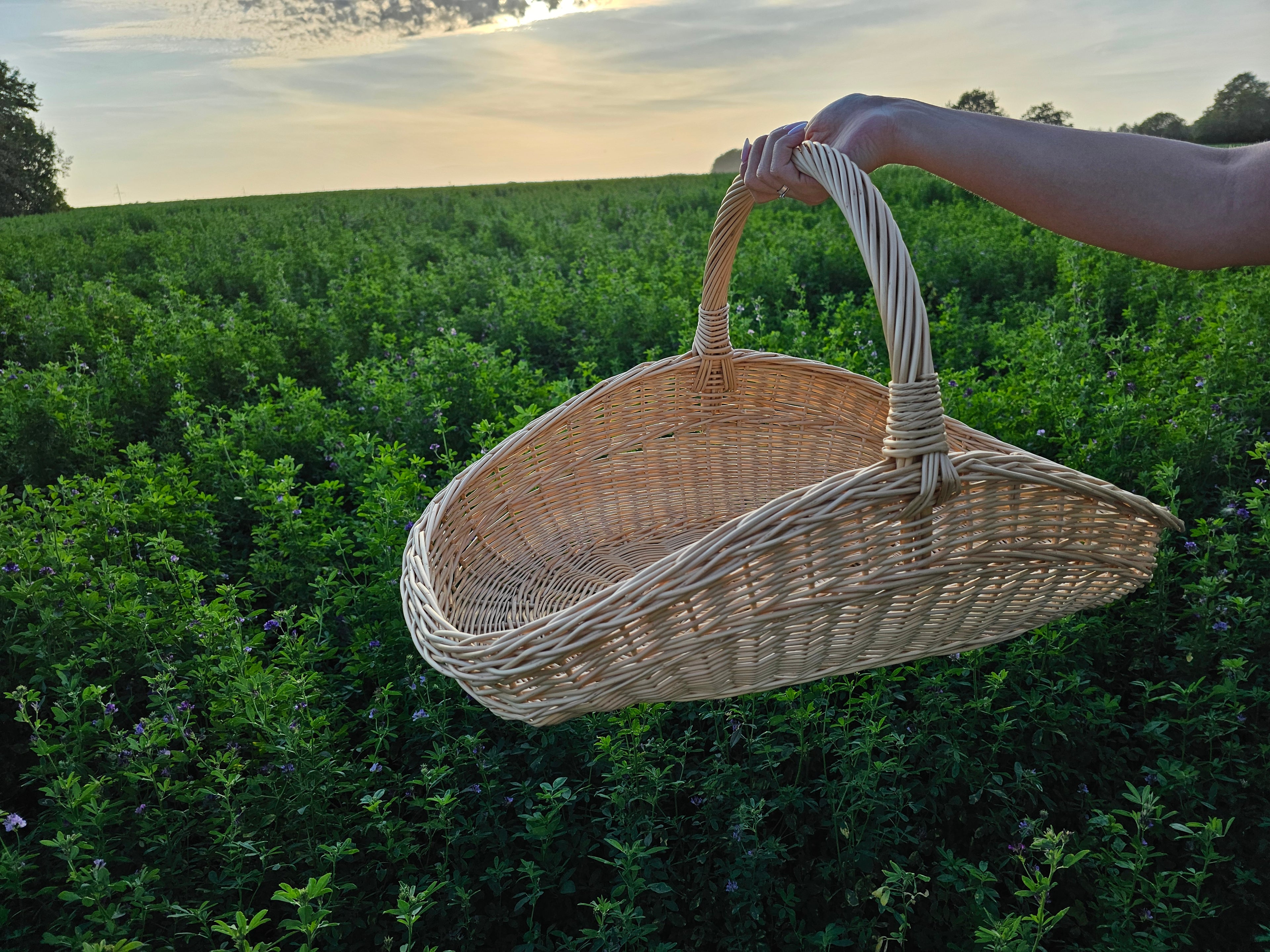 Large Wicker Garden Trug 027b-3
