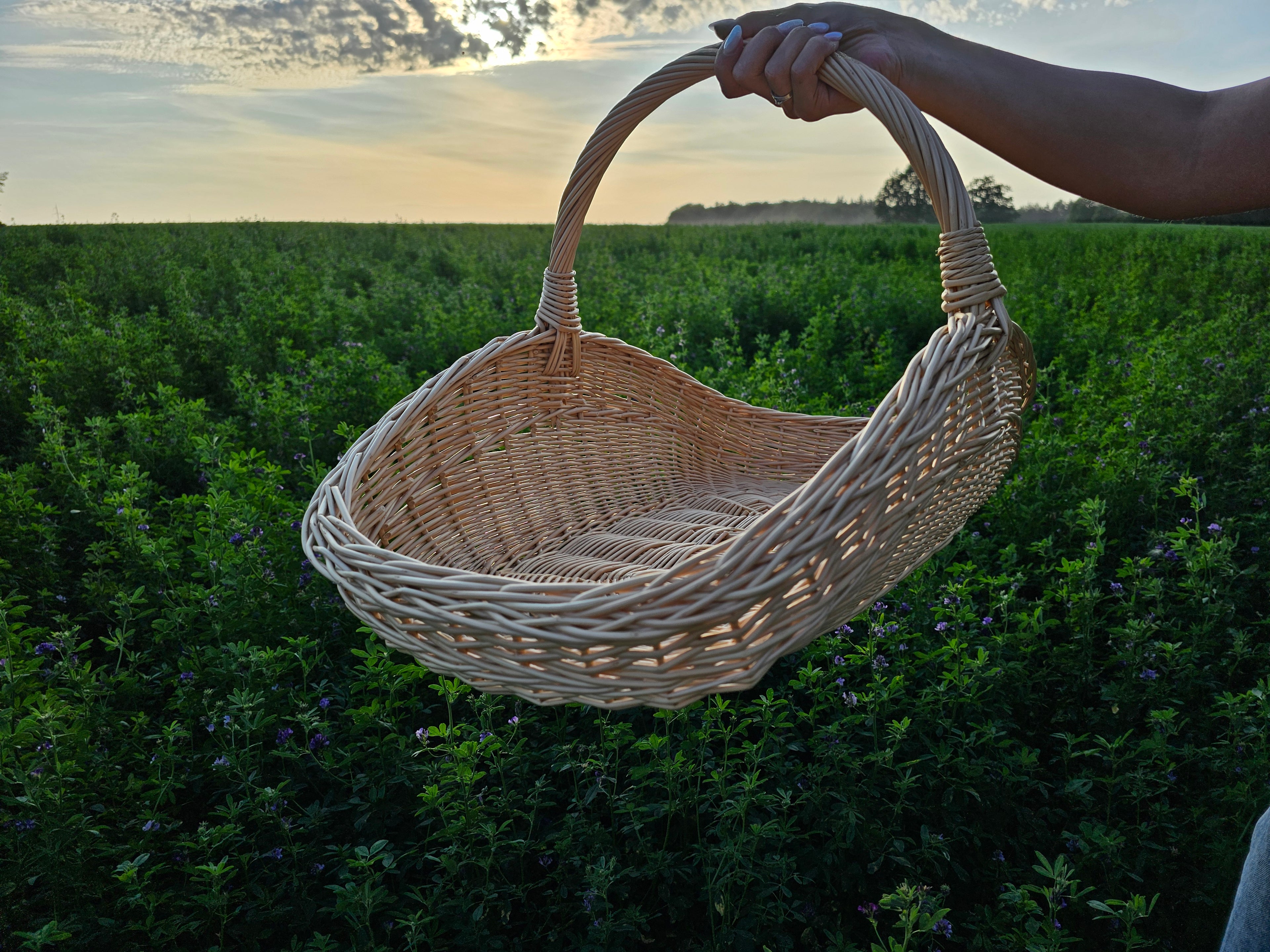 Large Wicker Garden Trug 027b-3
